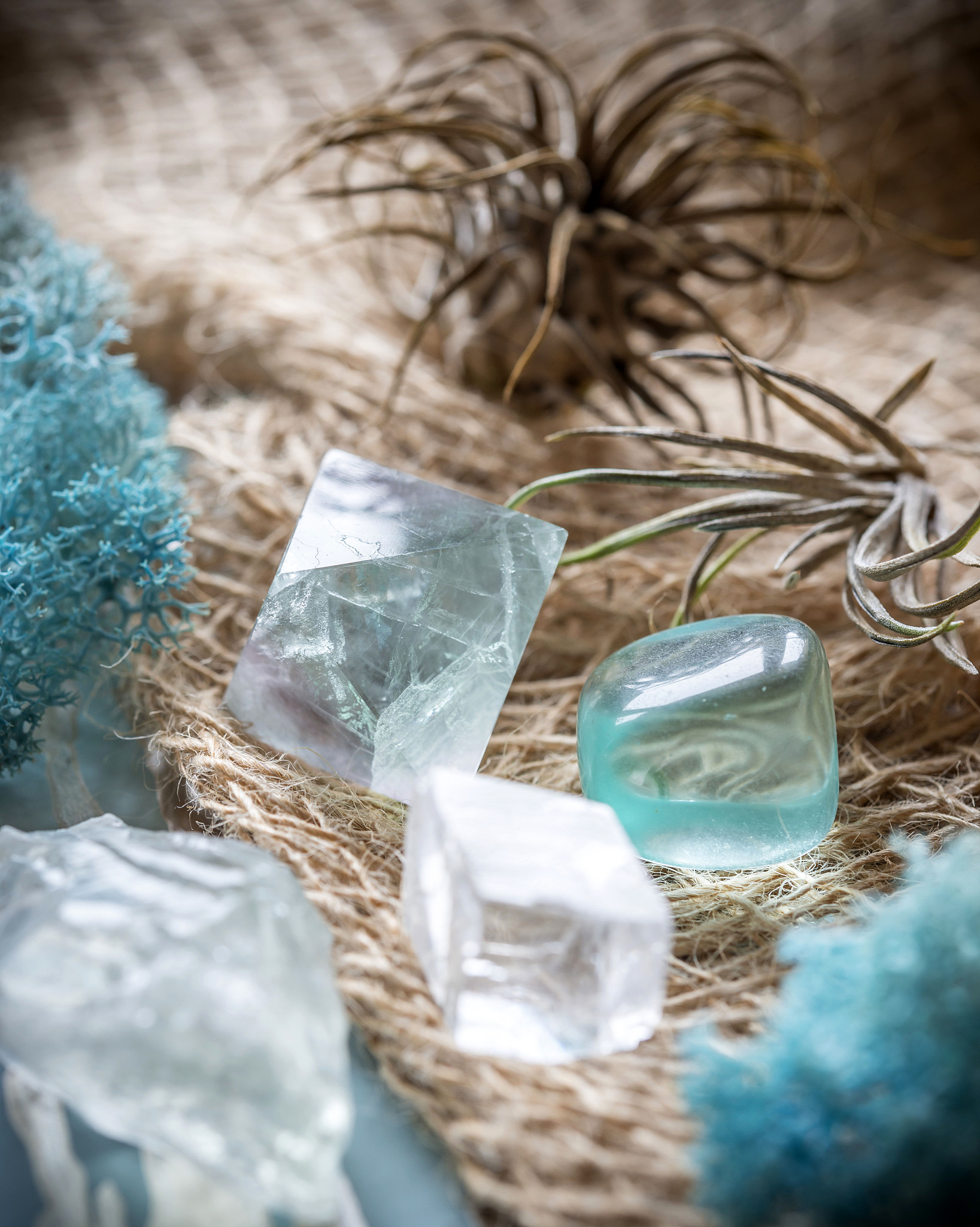 Stain Tissue Slides with Crystal Violet for Enhanced Visibility