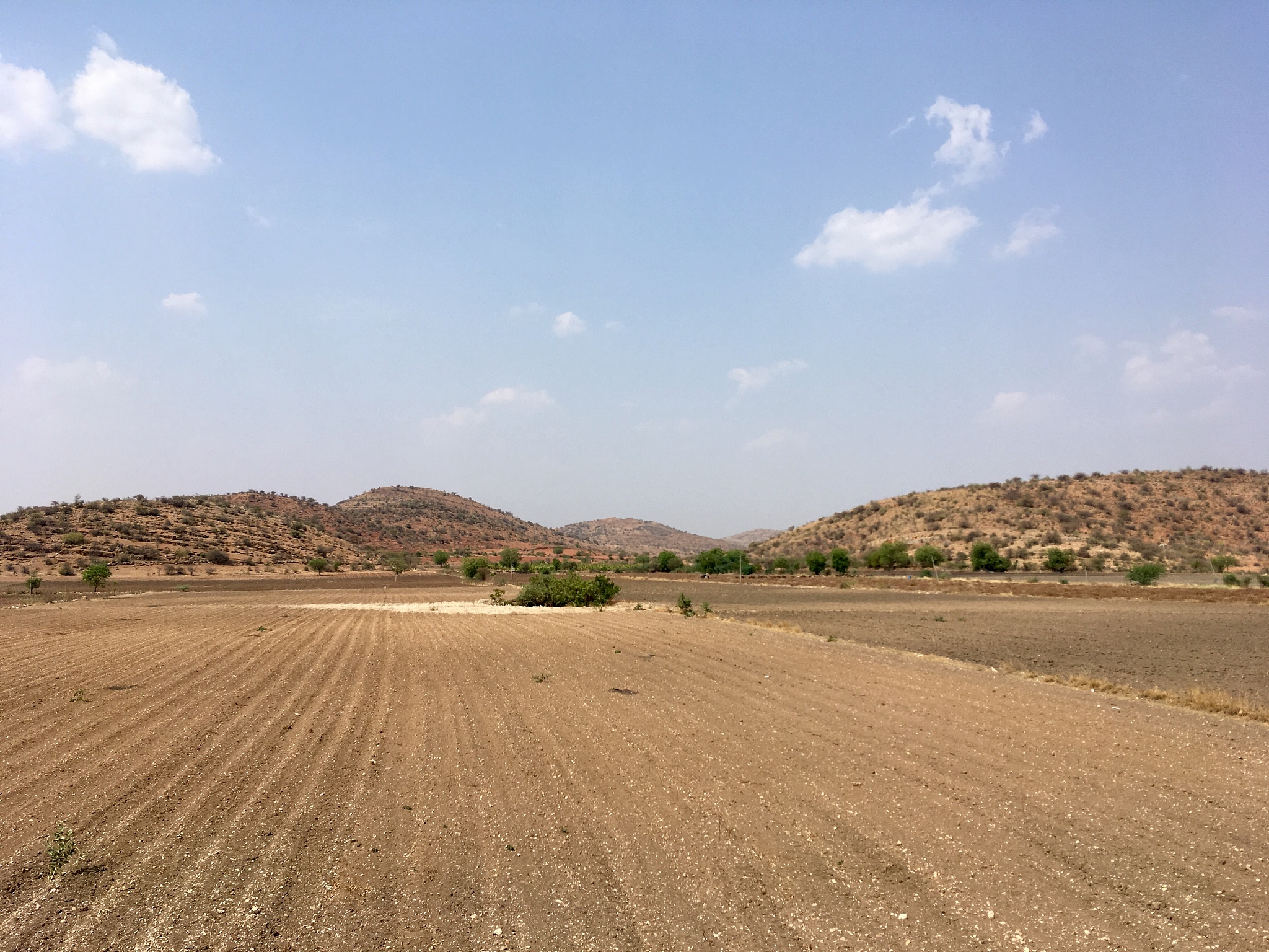 scenic view of farm against sky