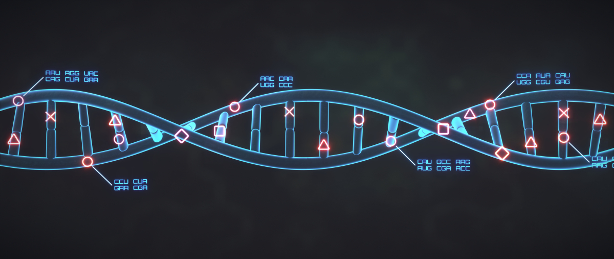 导致染色体畸变的自由基是