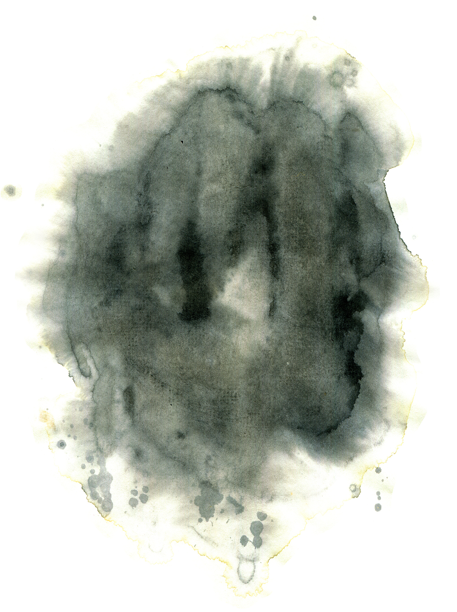 请就水墨特效的形式特点写一篇不少于500字的介绍