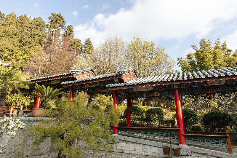 丽江古城区职业高级中学康复治疗专业怎么样