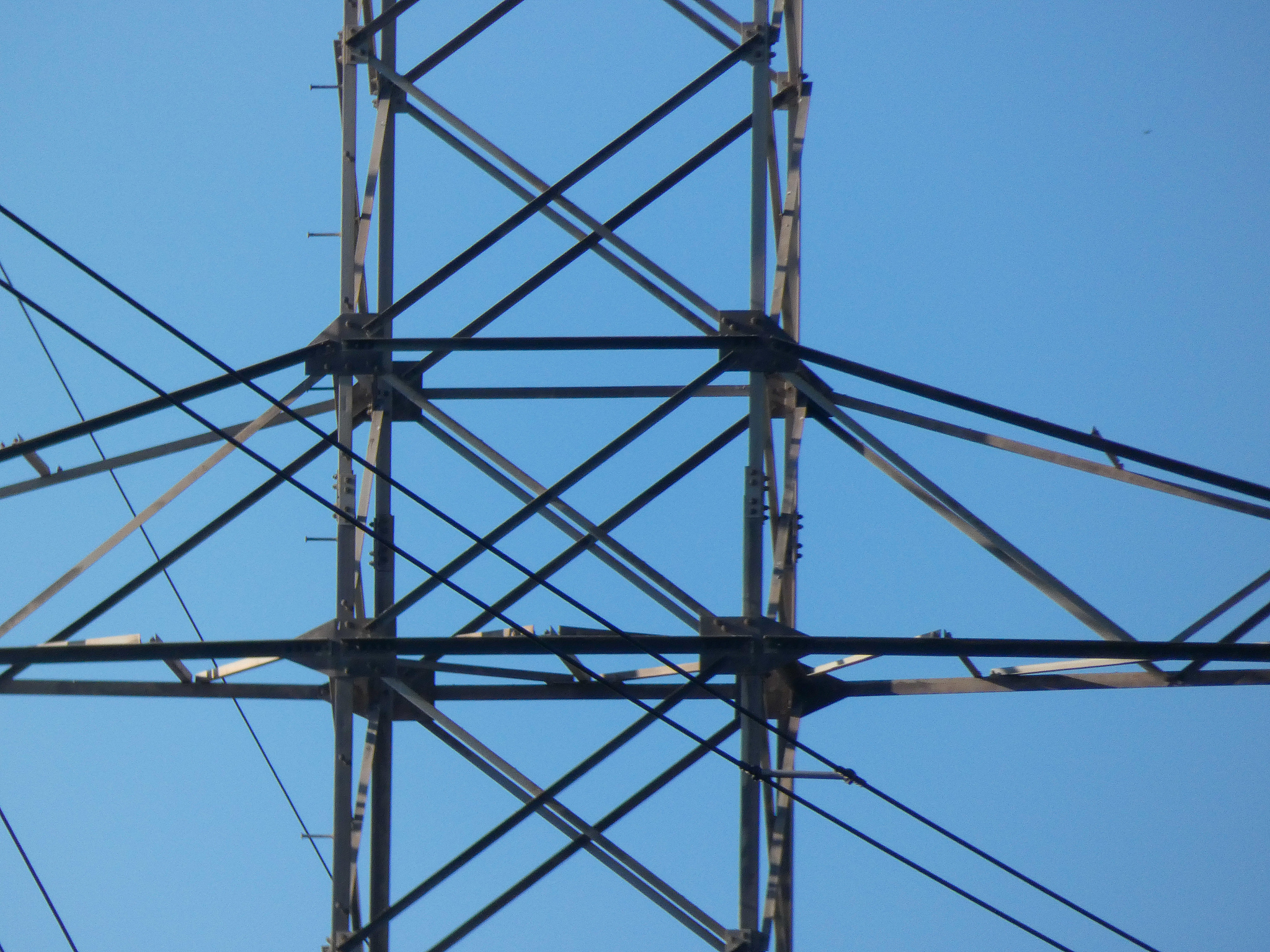 大连市经济贸易学校供用电技术专业怎么样？就业前景分析