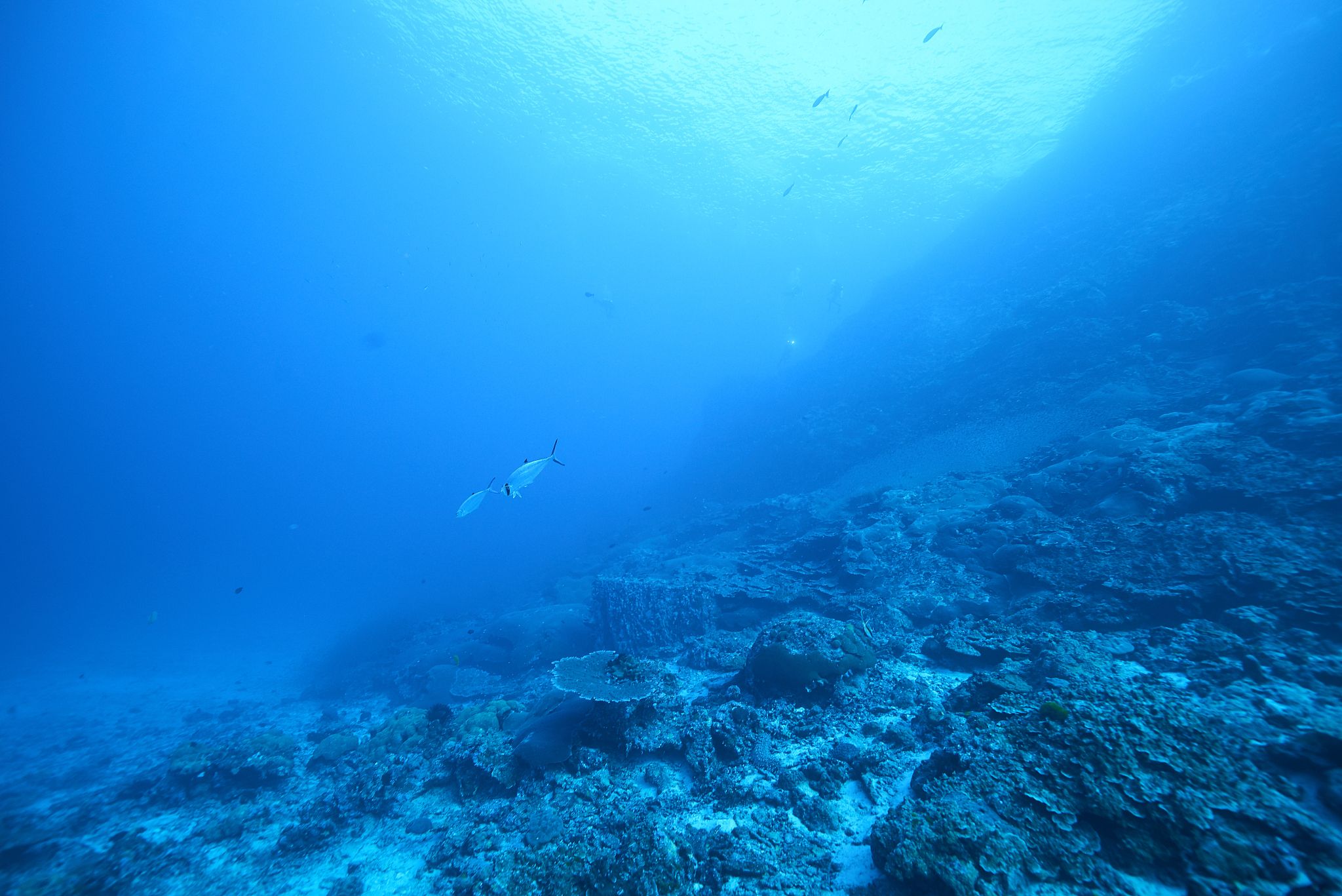 underwater