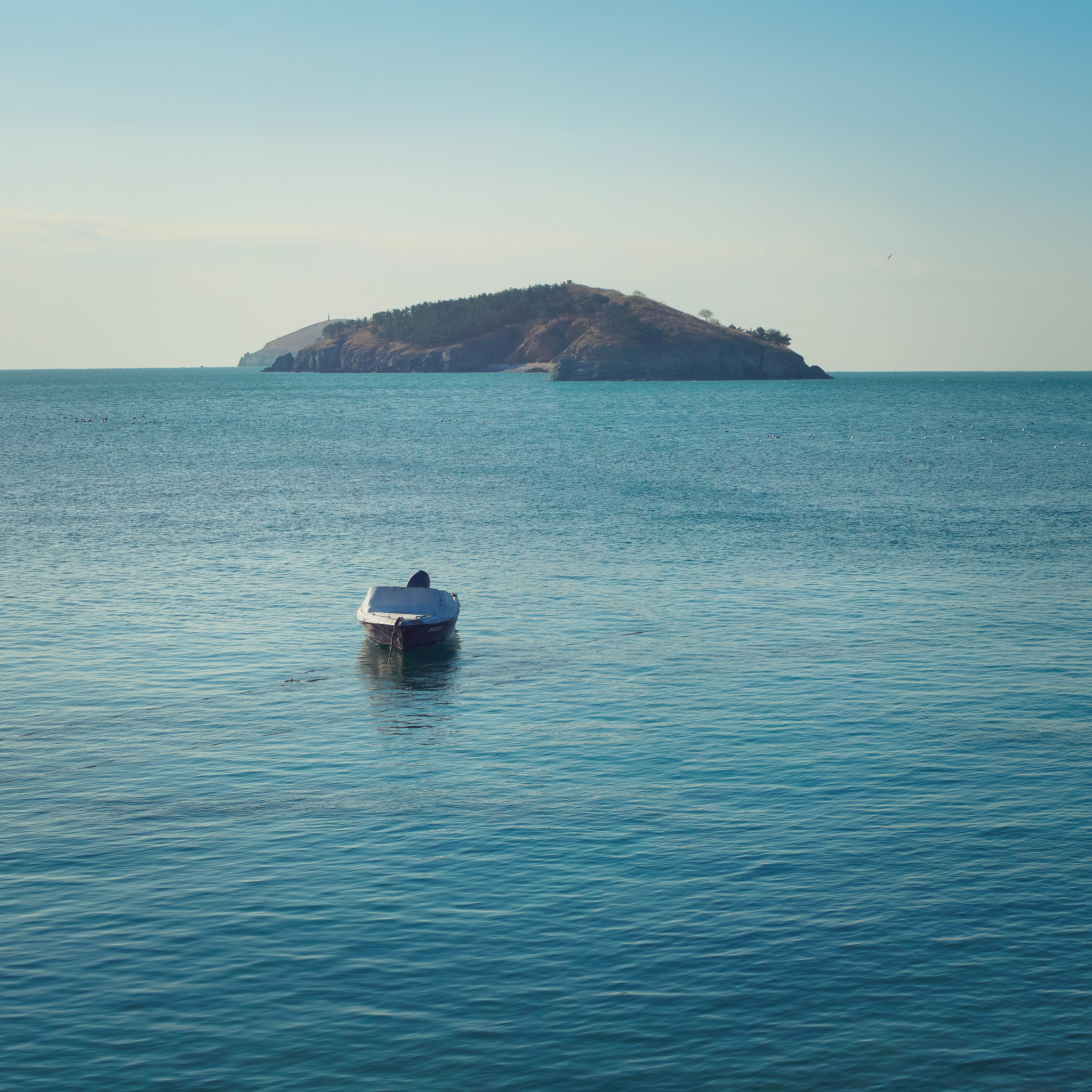 大连媒体一览：报纸、电视台、广播电台、新闻网站等