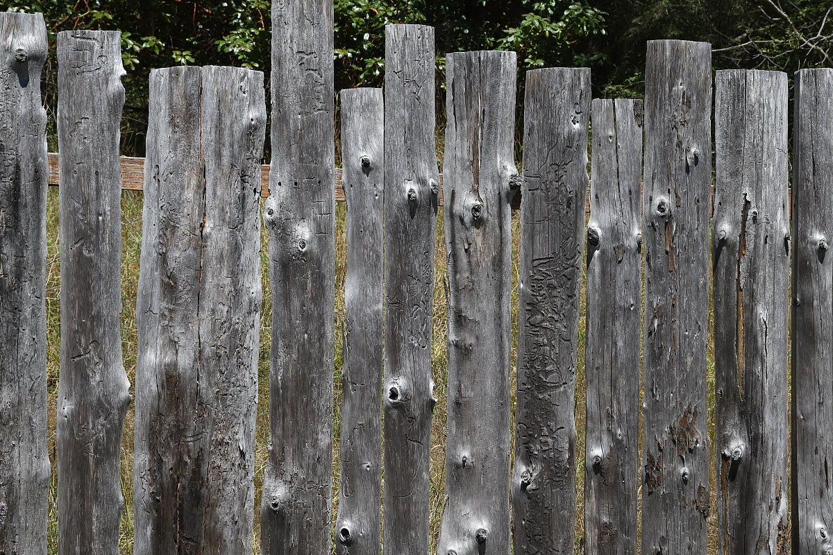 基于消费者认知的子洲县富发农业科技有限公司黄芪产品市场营销策略优化研究