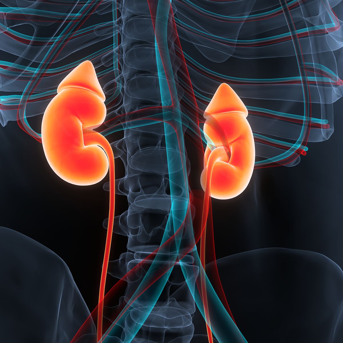 腹部听诊的内容有哪些？各有何意义？