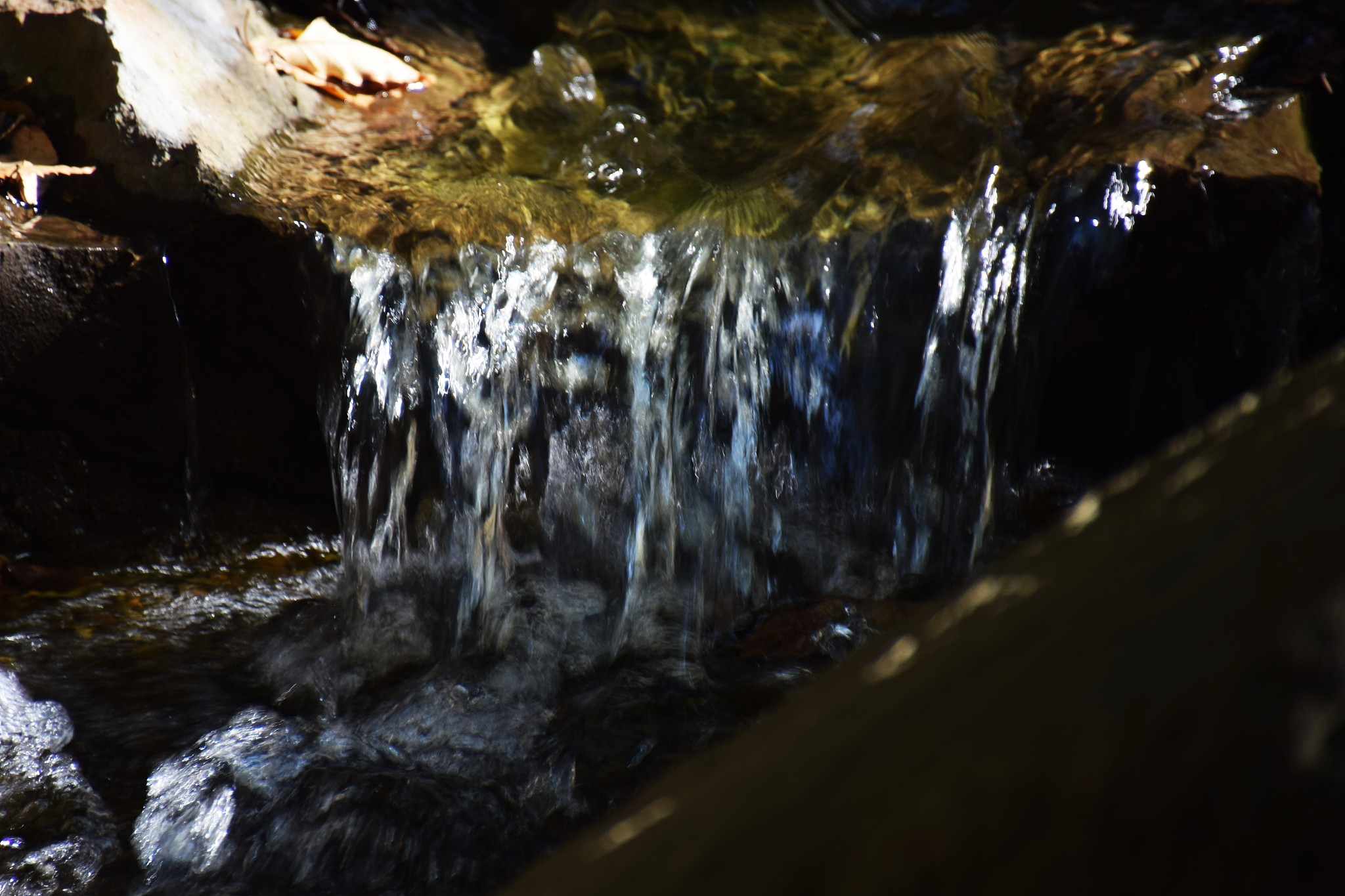 stones and flowing water of japanese garden