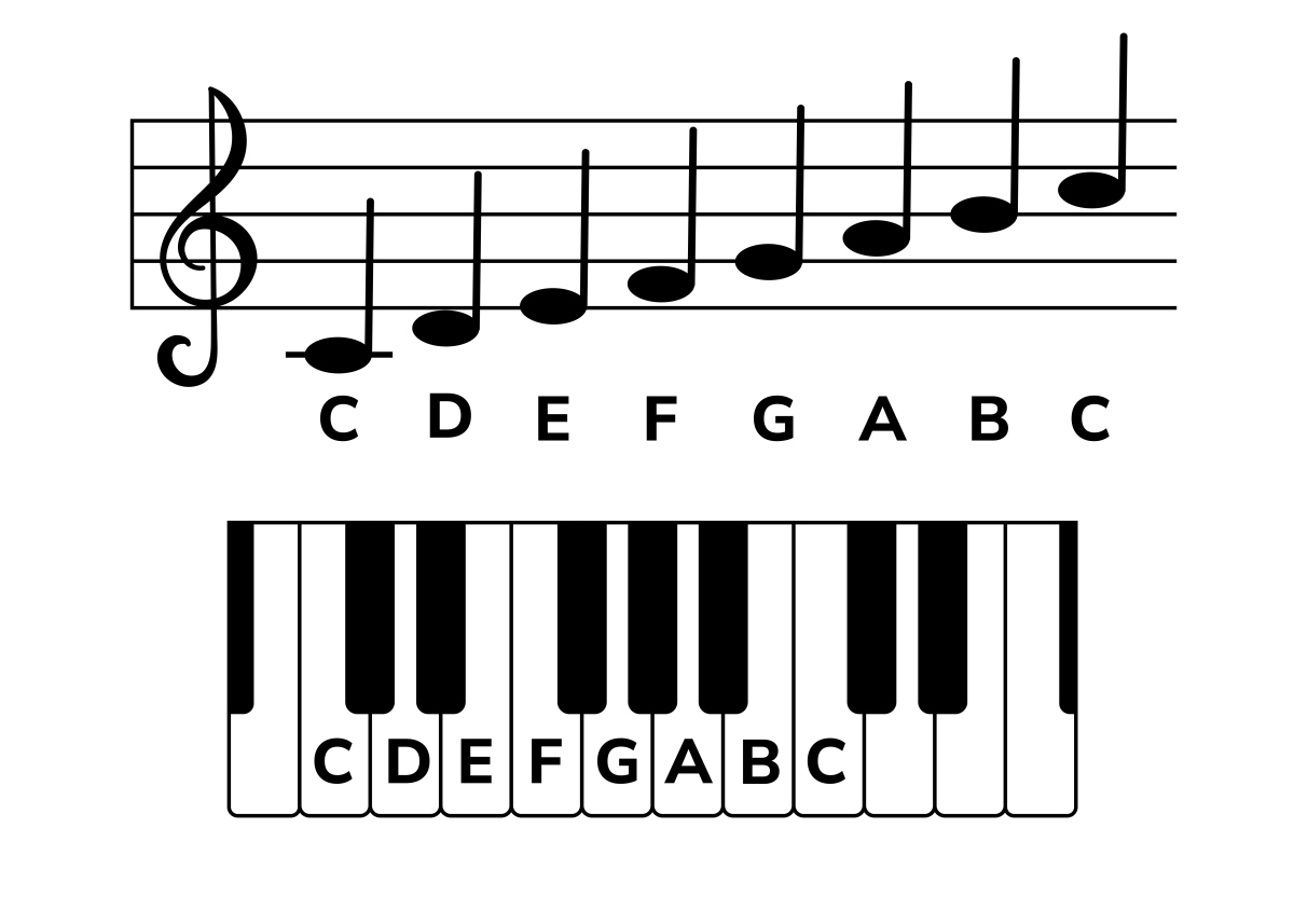 我可以教给你读取五线谱吗