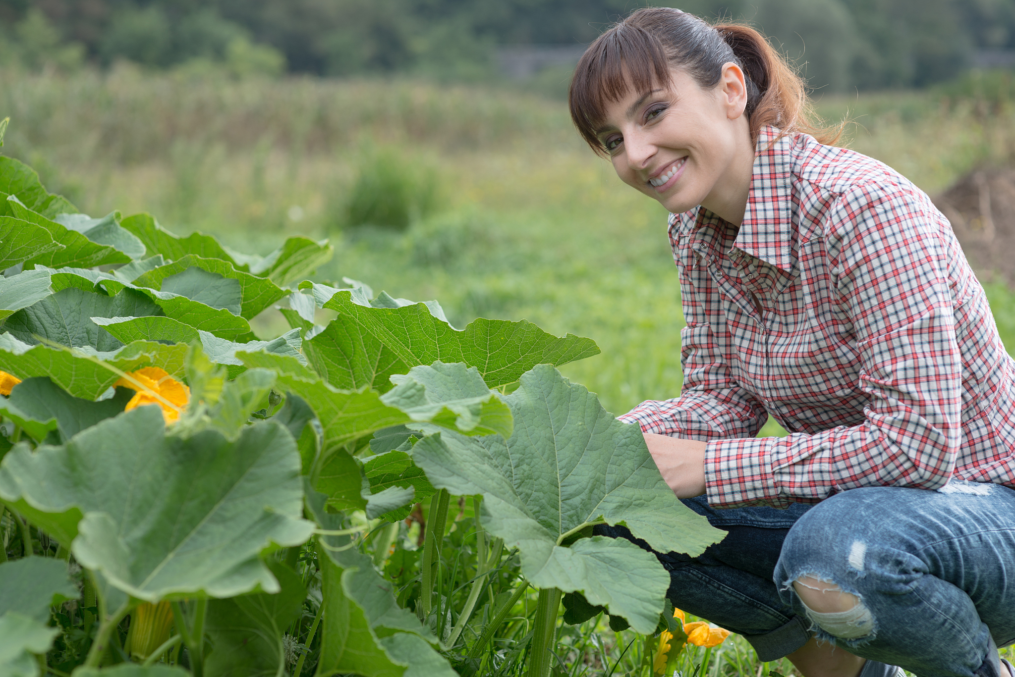 驻马店农业学校招生专业都有哪些