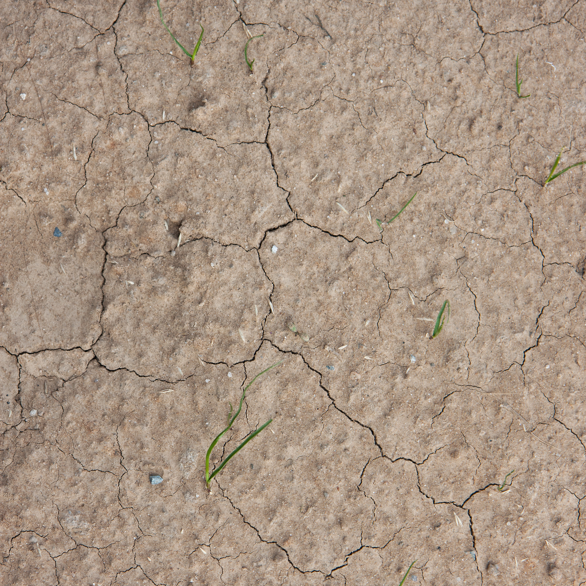 土地买卖协议书范本 - 土地交易合同模板