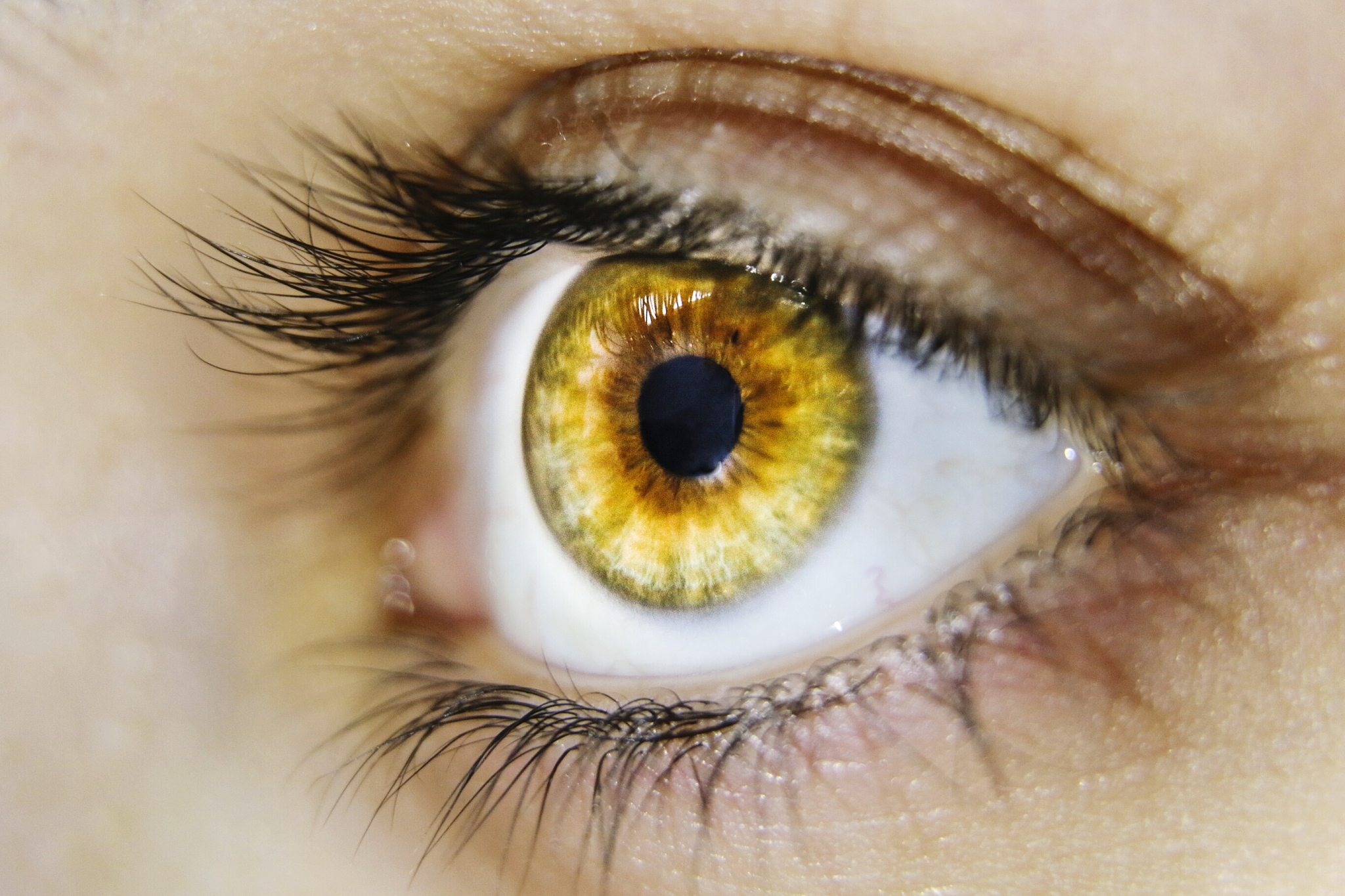 extreme close up of human eye