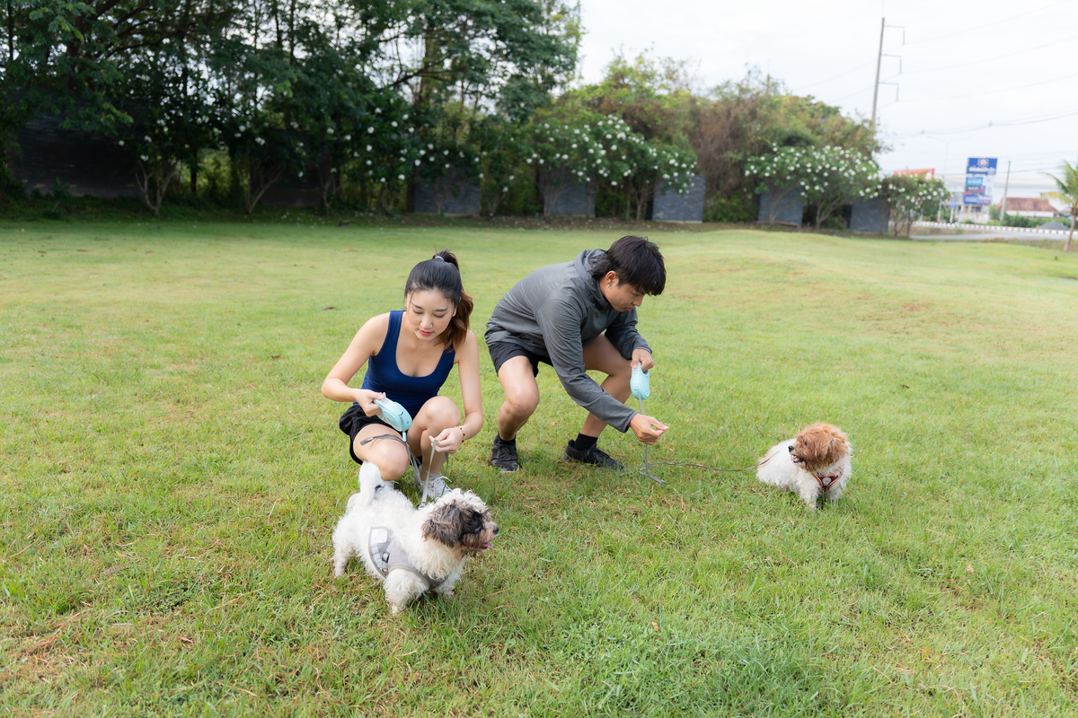 怎样才能让人们从云养宠到真正的养一直宠物呢？