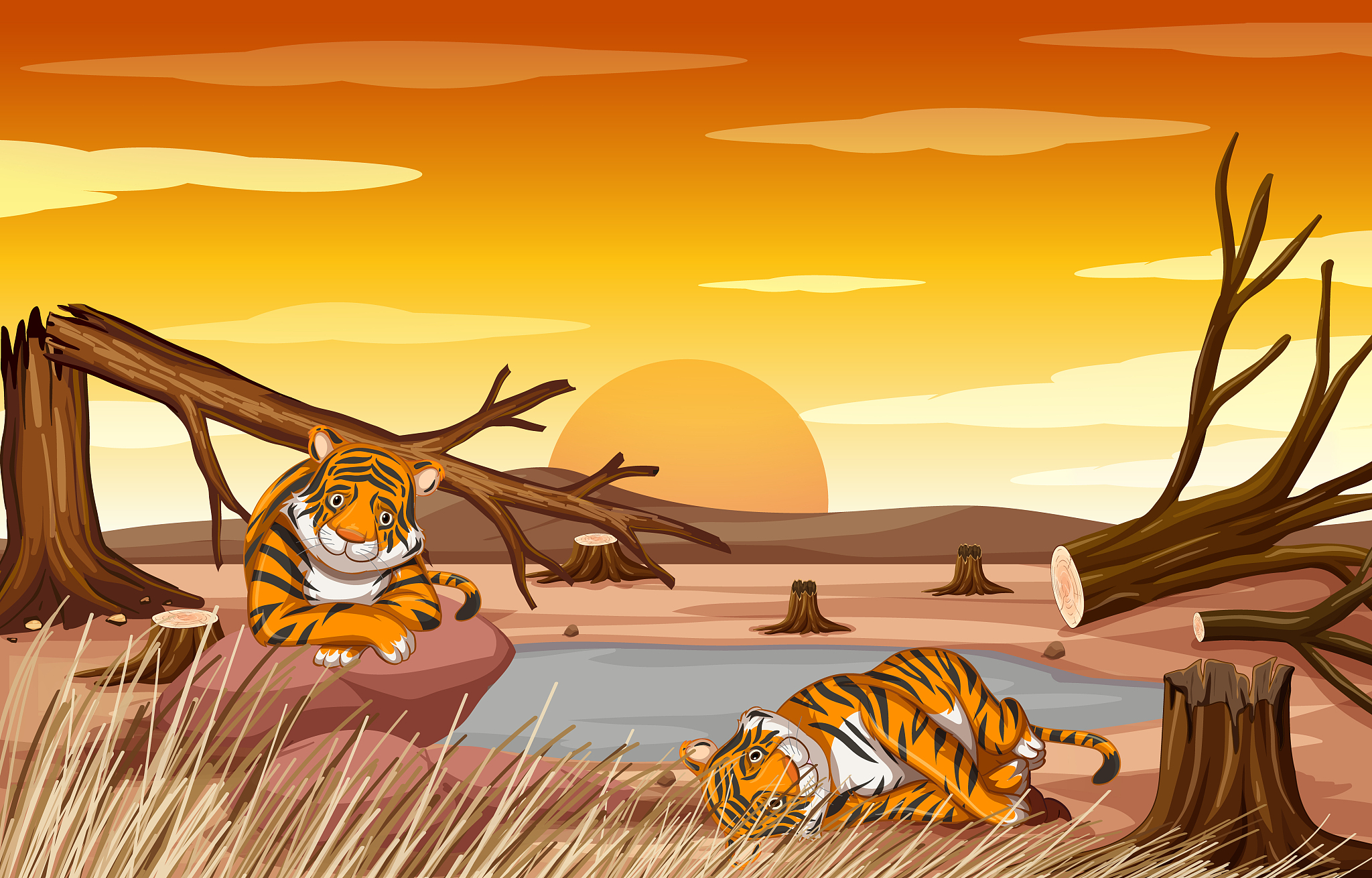 老虎照镜子剧本