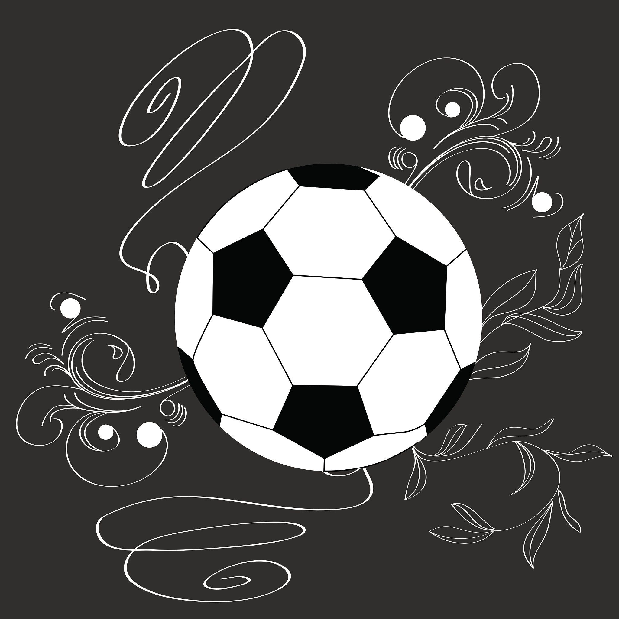 single soccer ball