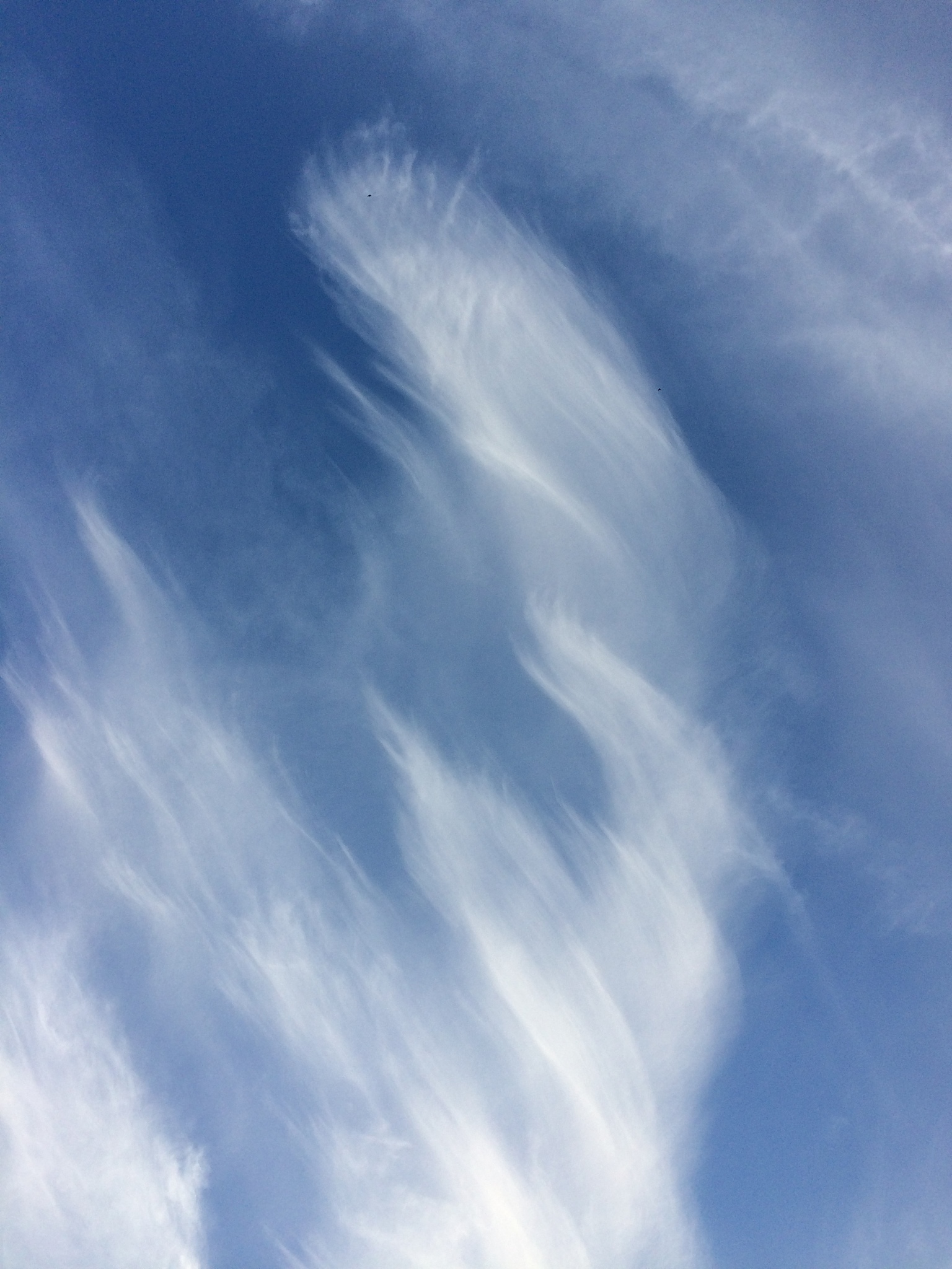 云的奥秘：形态、寓意与想象力