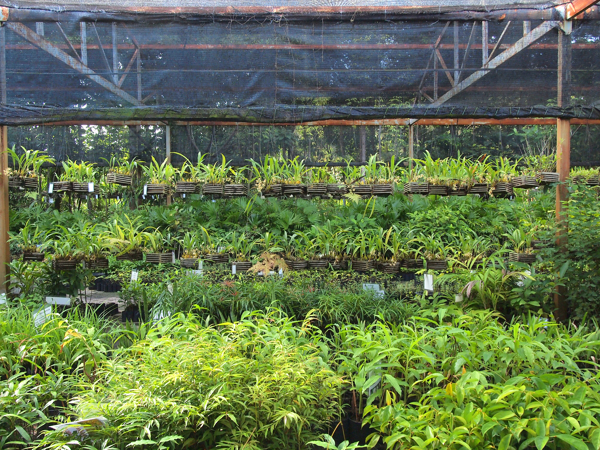 四川食品药品学校中草药种植专业招生