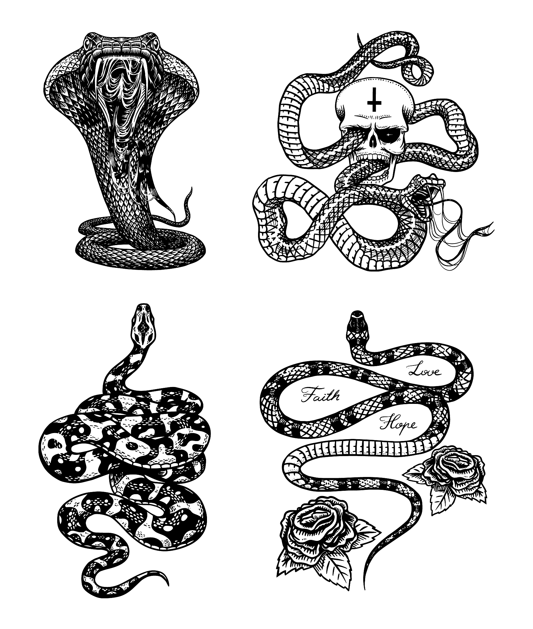 采用随机色彩失真、随机角度旋转、随机平移、随机扩充、随机裁剪等 图像变换方法进行数据集扩充的python程序