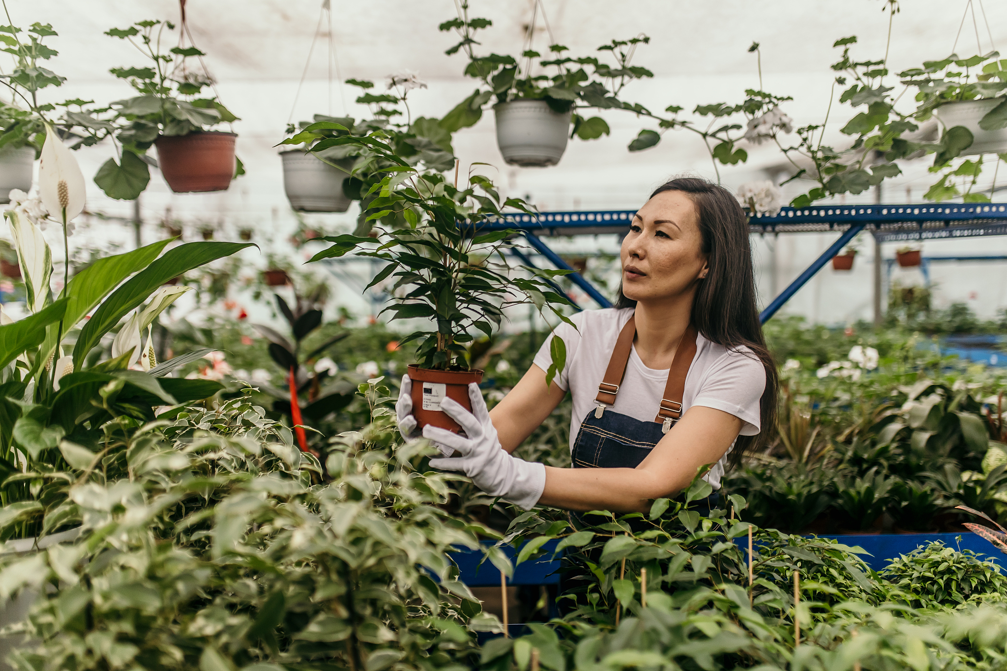 云南曲靖市农业学校2019年五年制招生报名咨询QQ