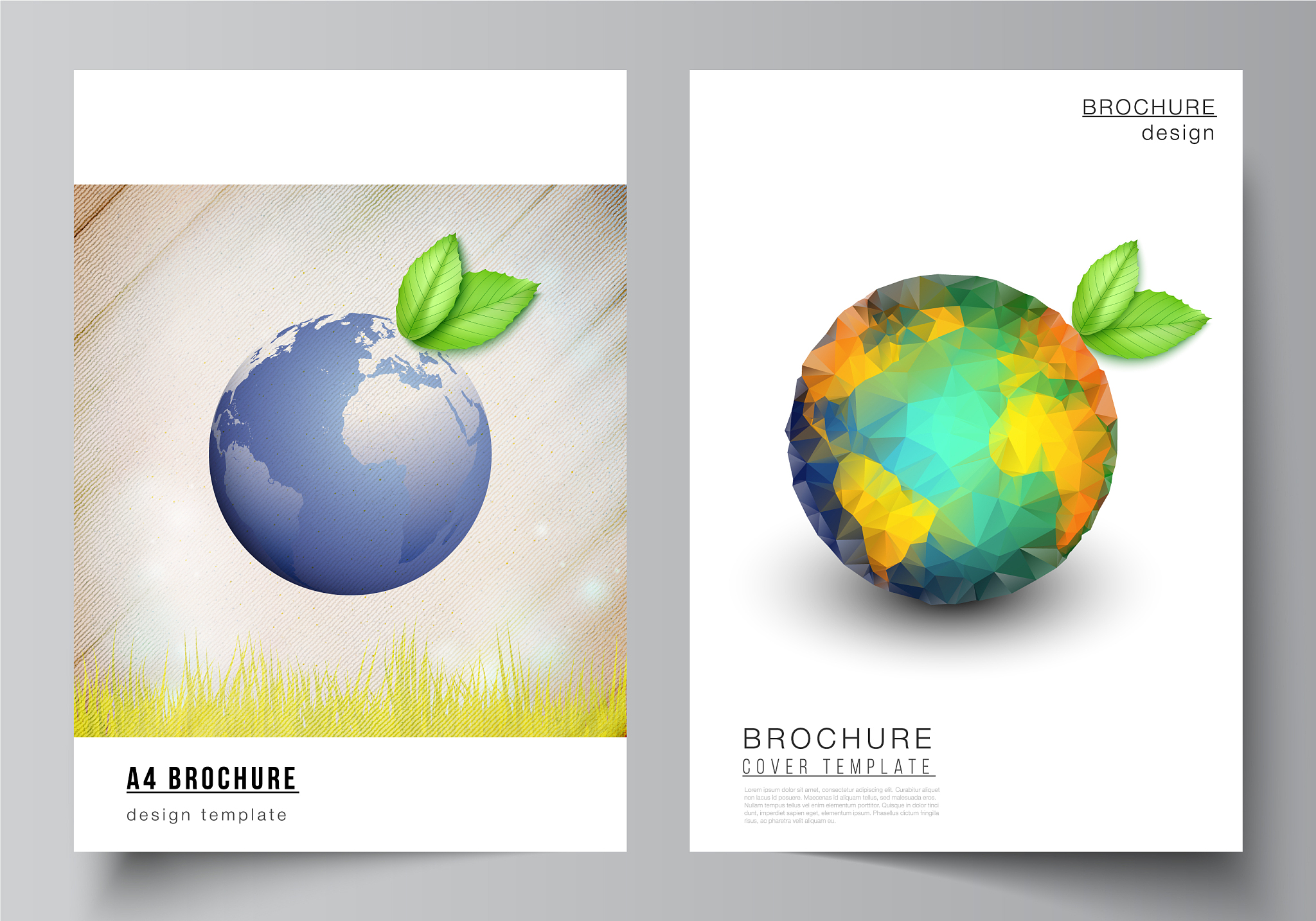 layout a4 format cover mockups design