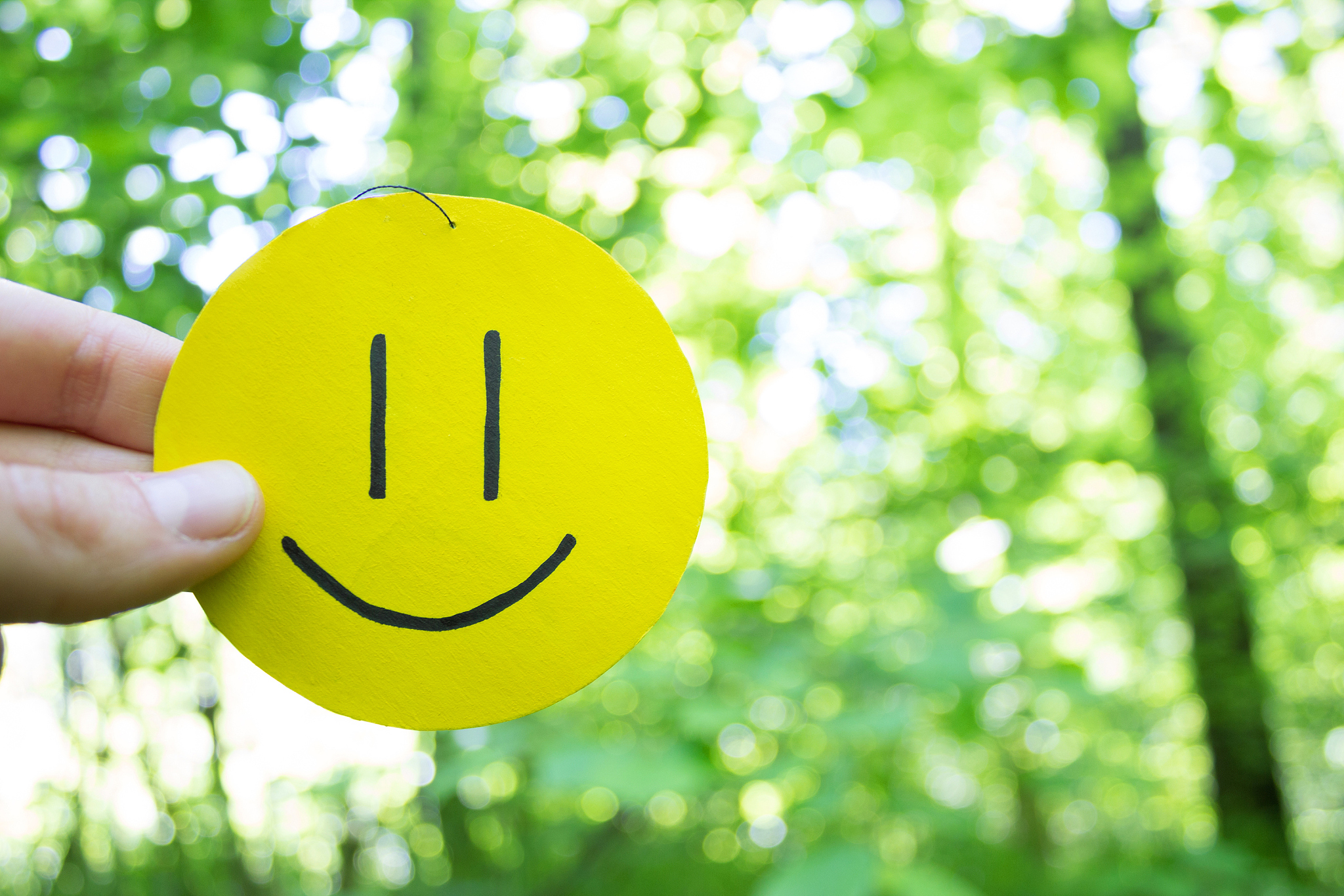 请帮我写1篇650字的博客文章主题是：微笑让生活更美好