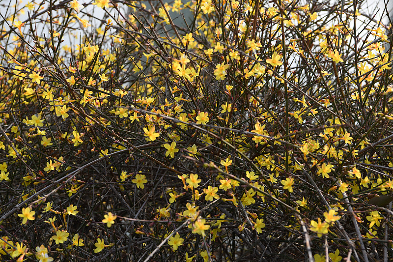 山东枣庄工业学校2021年招生简章 - 招生计划、专业、报名时间