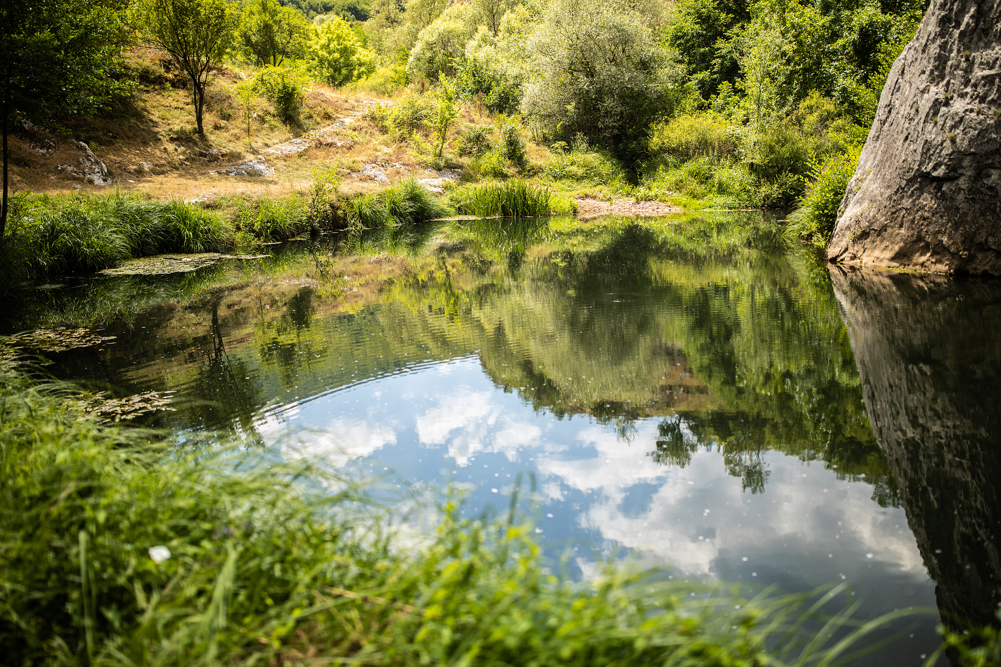 river in beautiful nature