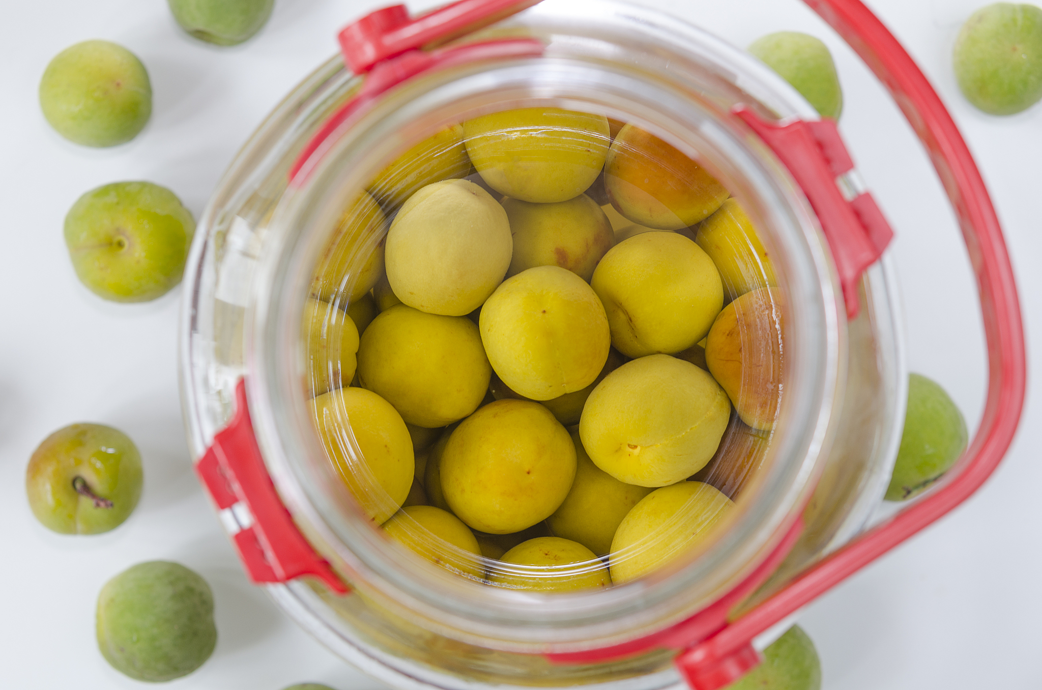 5斤青梅泡多少斤酒多少冰糖