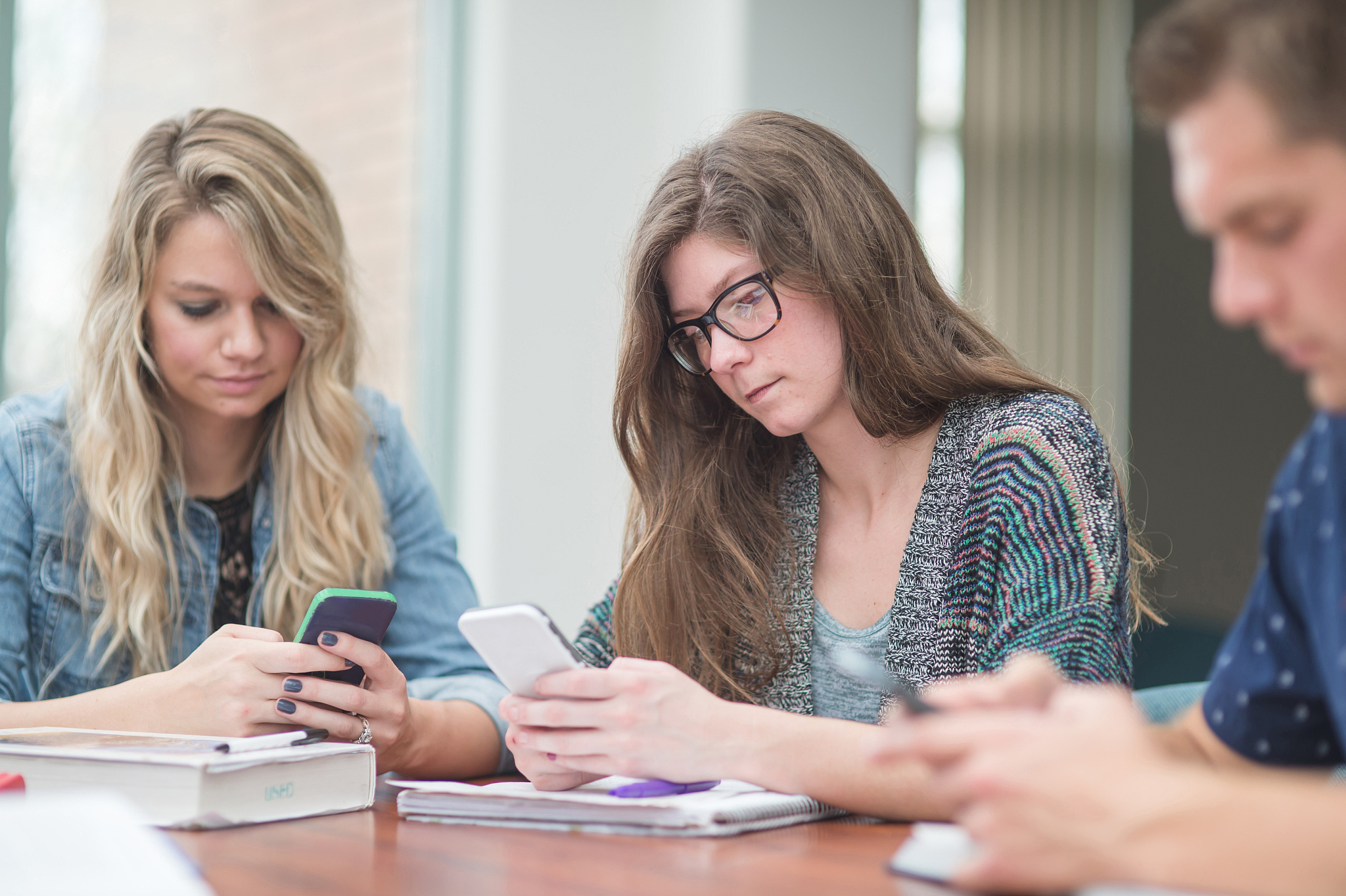 兰州城市学院2022年开设了什么专业