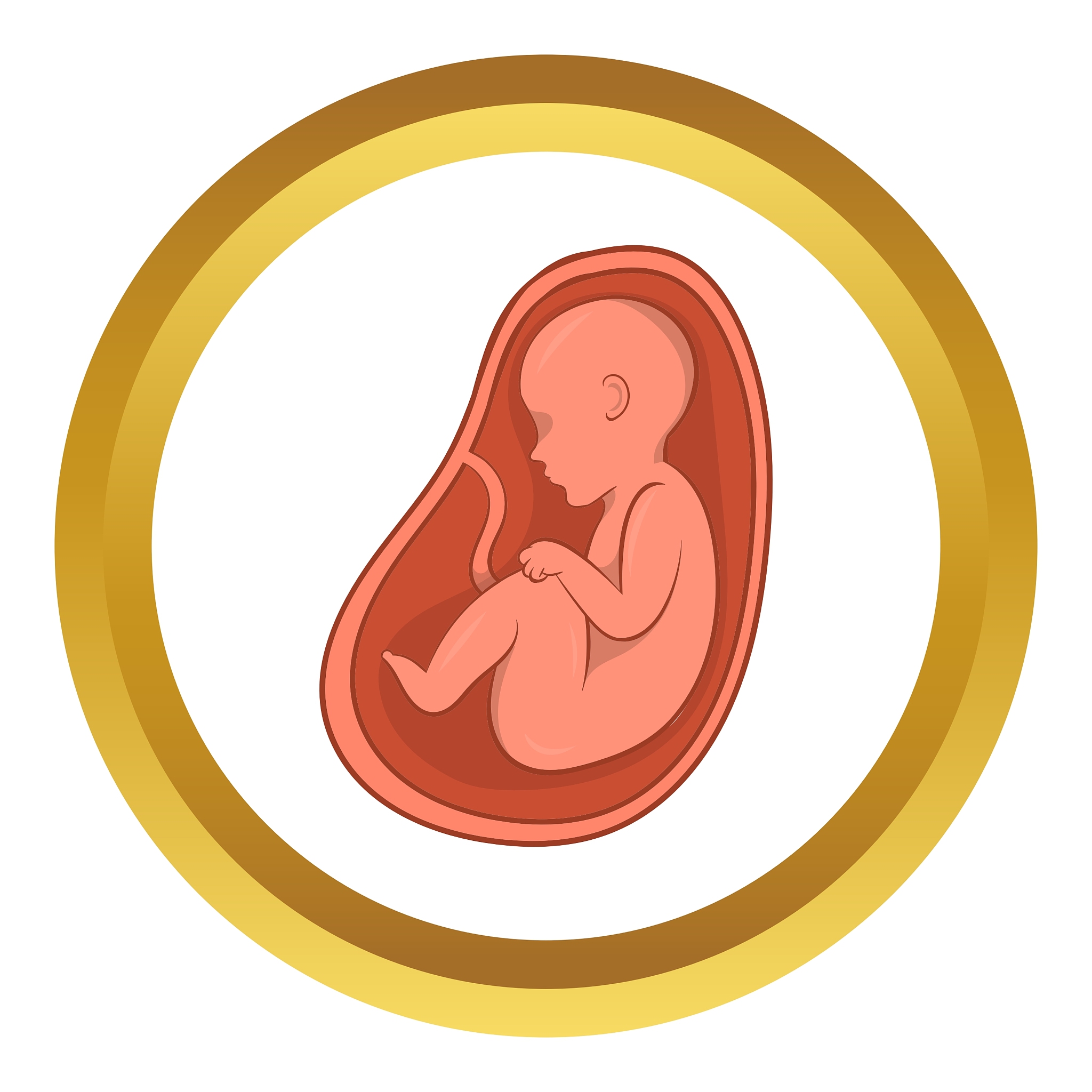 embryo in stomach icon cartoon style