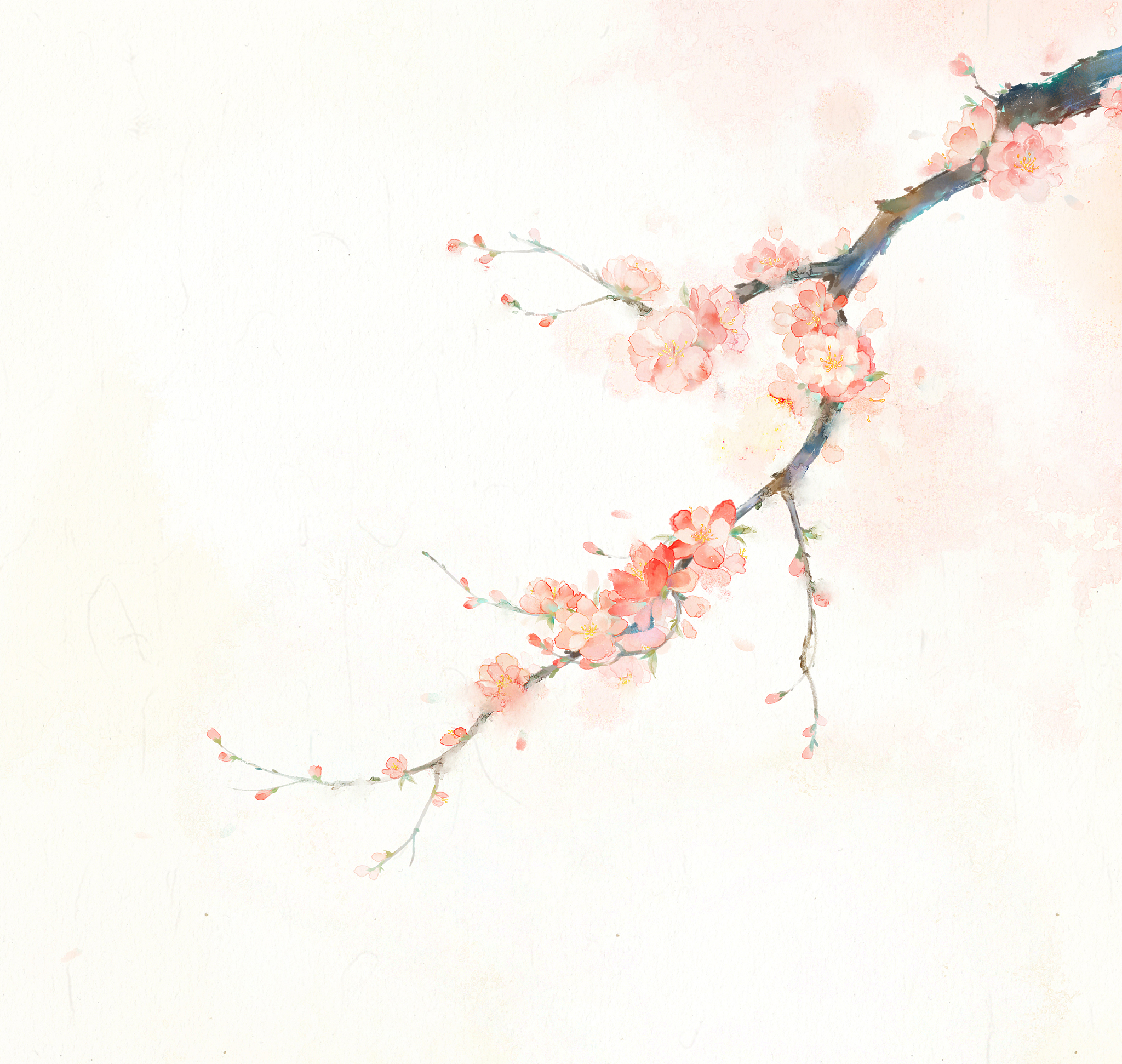 苏轼词中的花卉意象：从梅花、杨花、桃花到落花