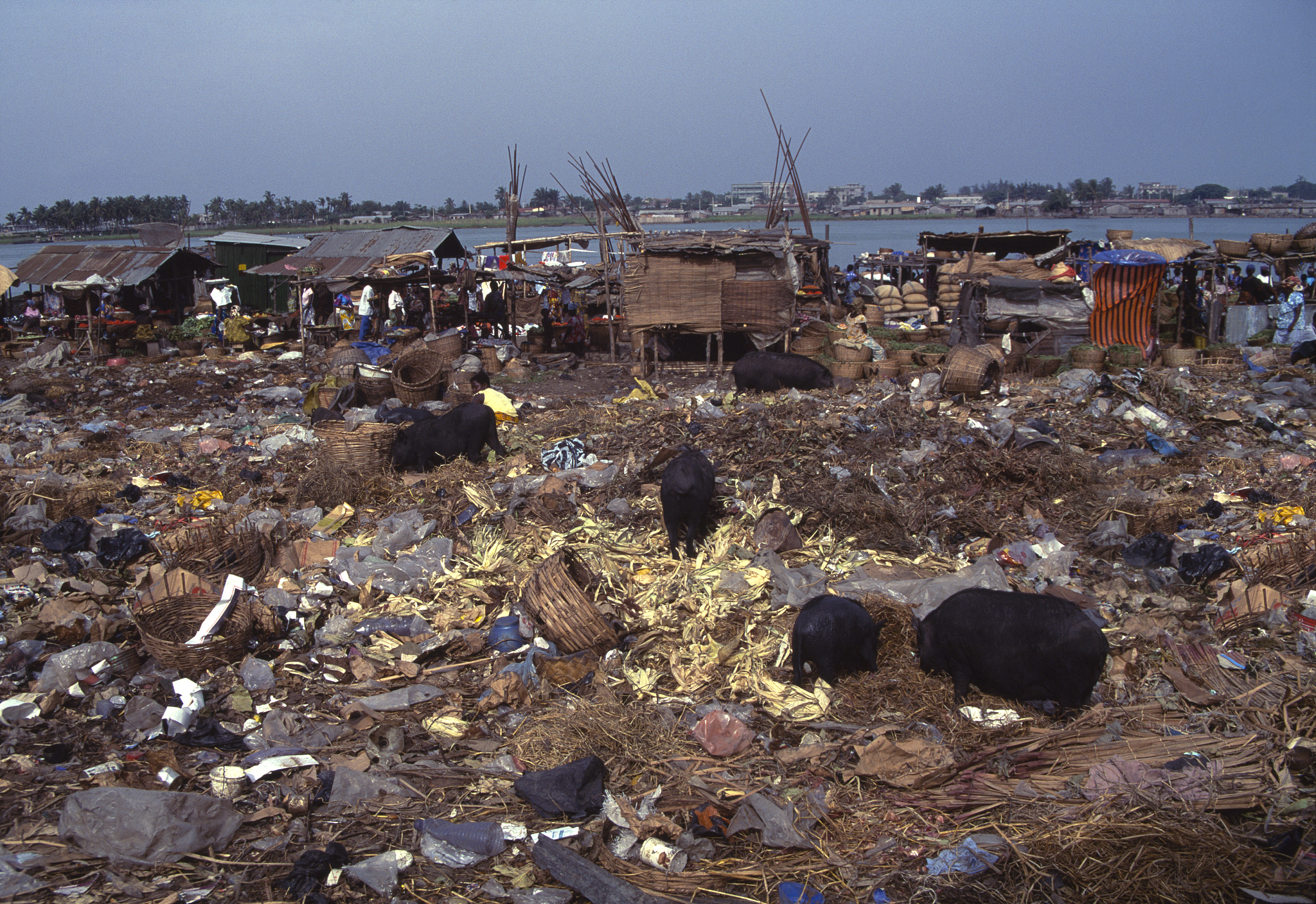 african market & rubbish dump, benin, west africa