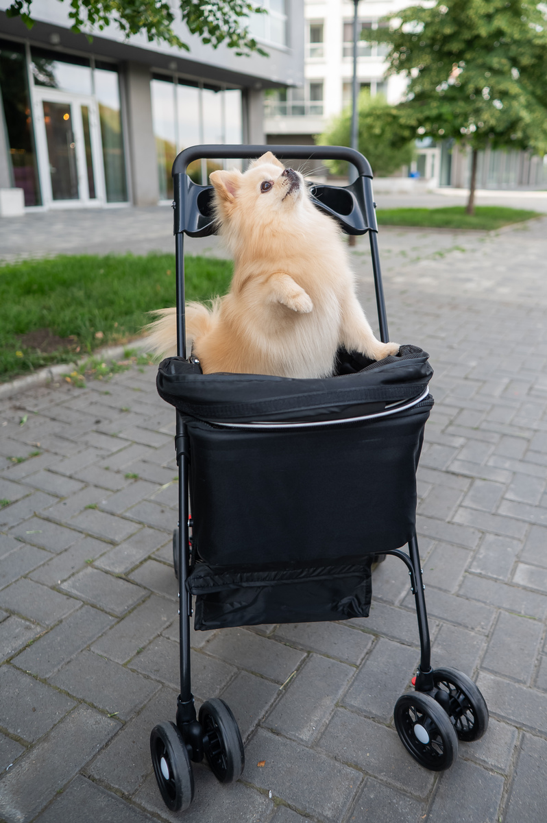 给我一个好评话术 形容这个实木小推车质量很好没有气味 跟我家风格好搭 做工和细节都很好限制最少30字