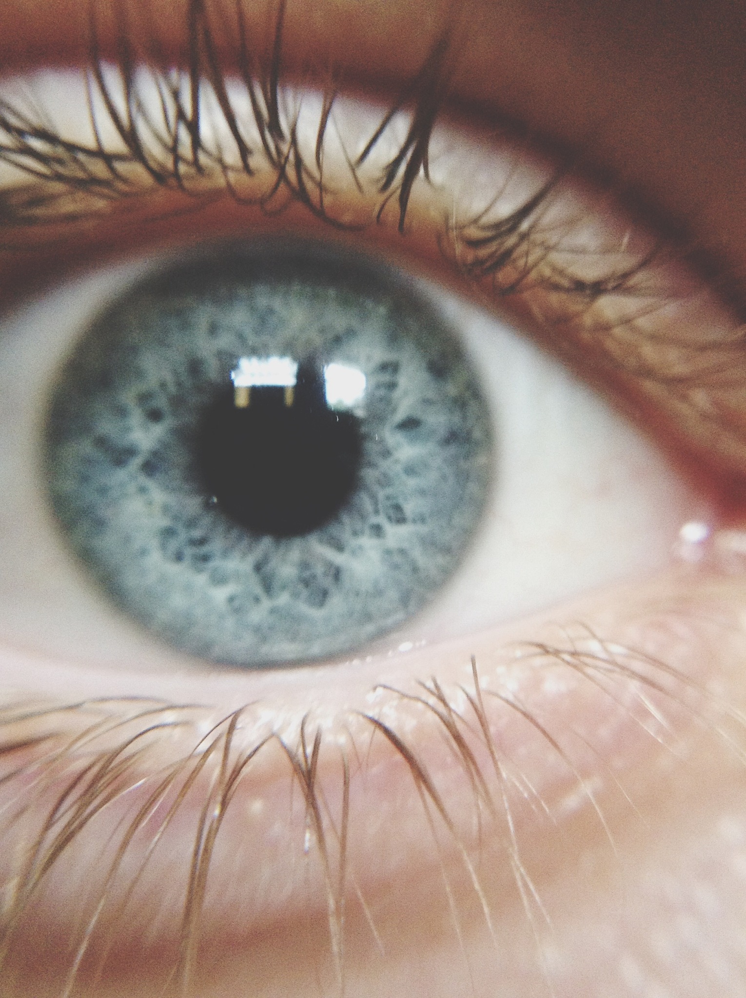 extreme close-up of human eye
