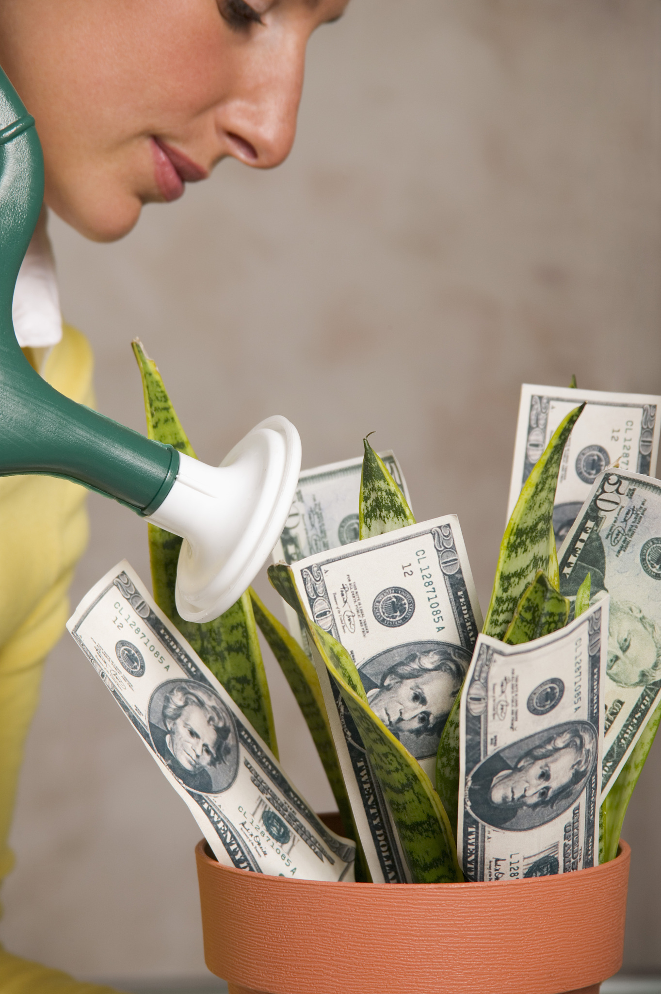 woman watering money plant