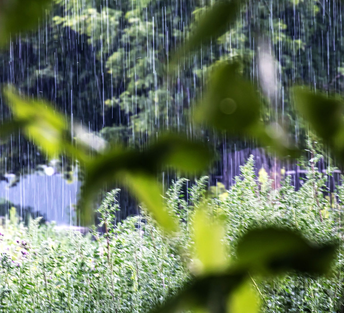 以雨声像豆子为主题写一首绝句