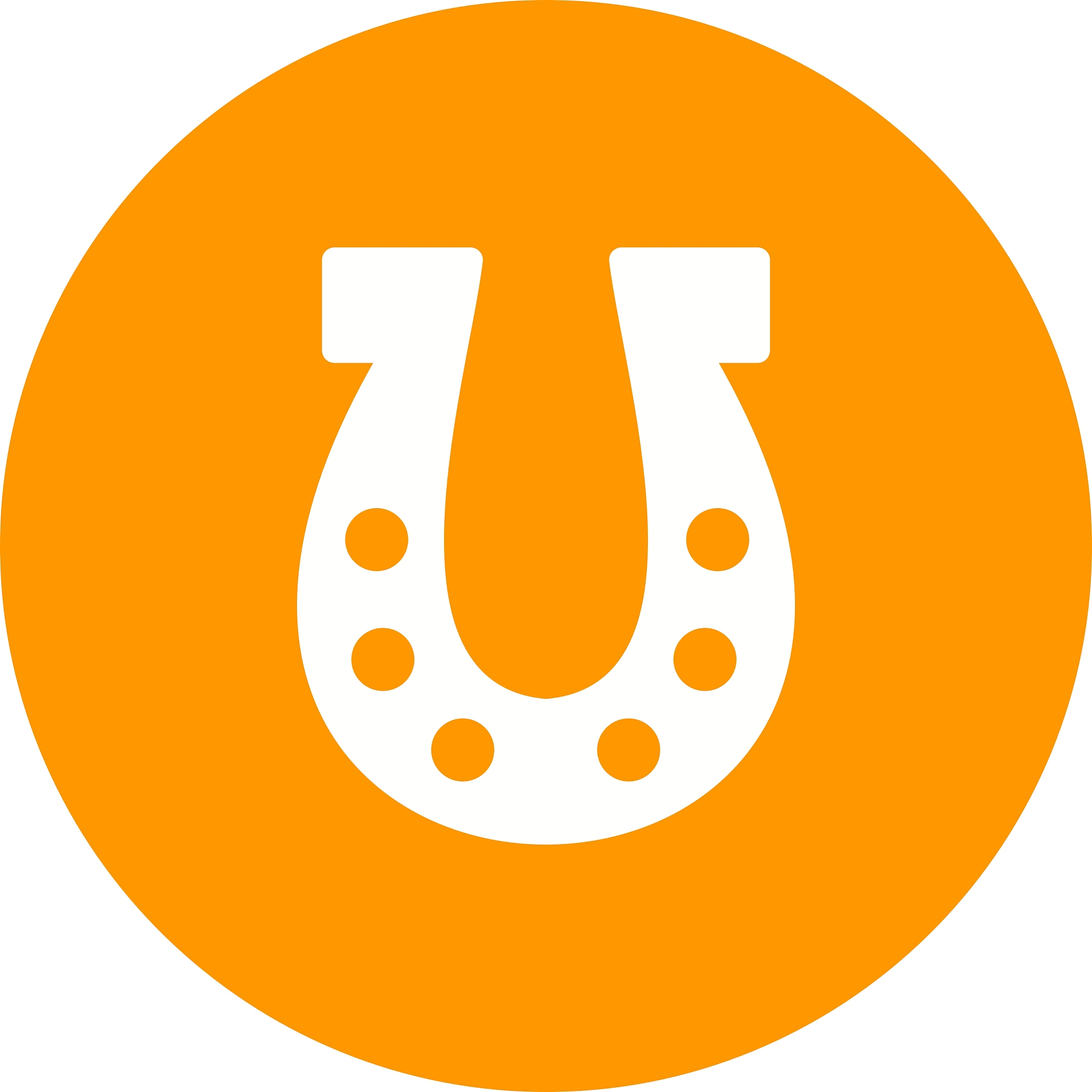 horse shoe