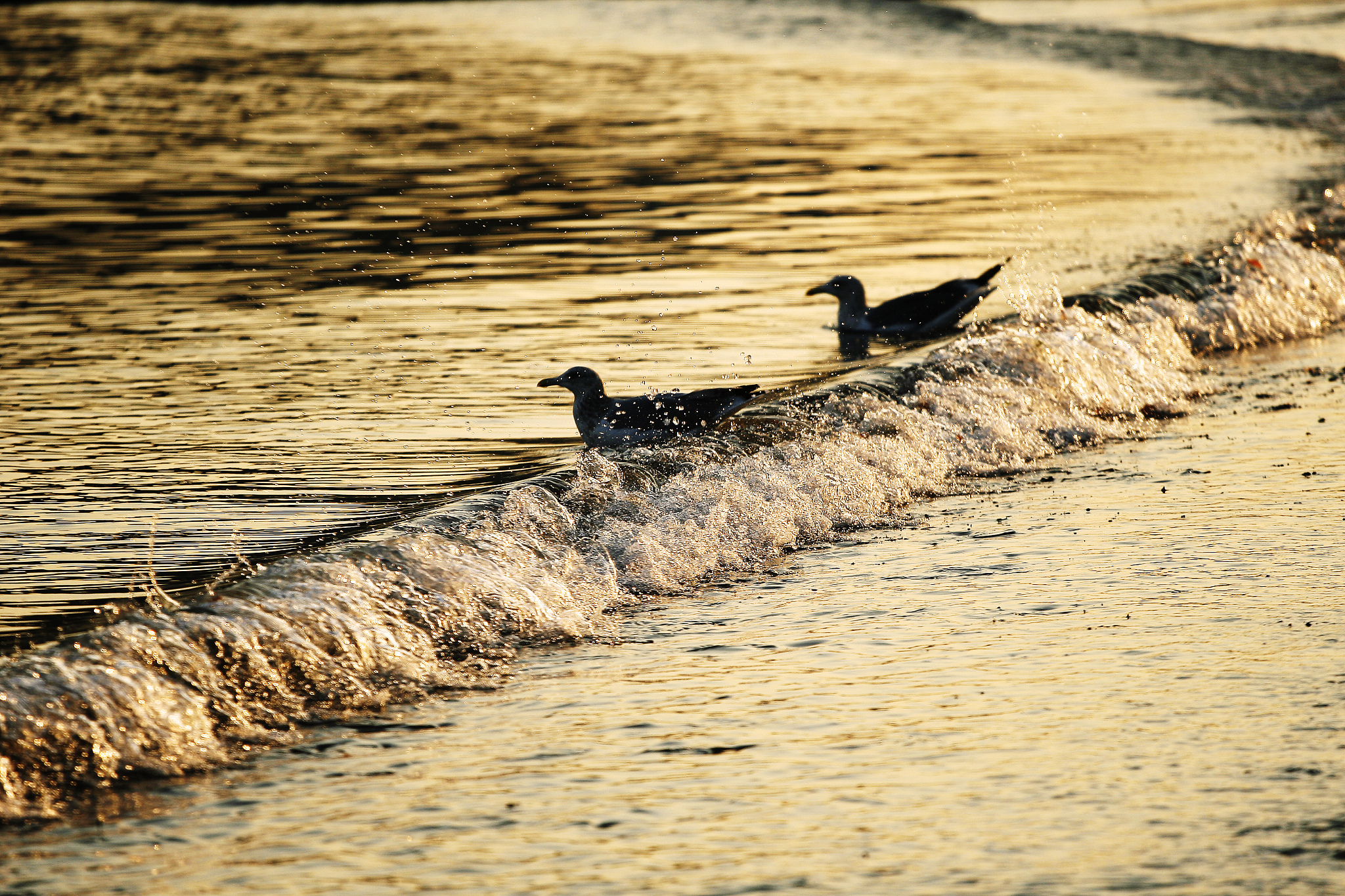 农民在闲着时捕鱼打一成语 用250字帮我描述