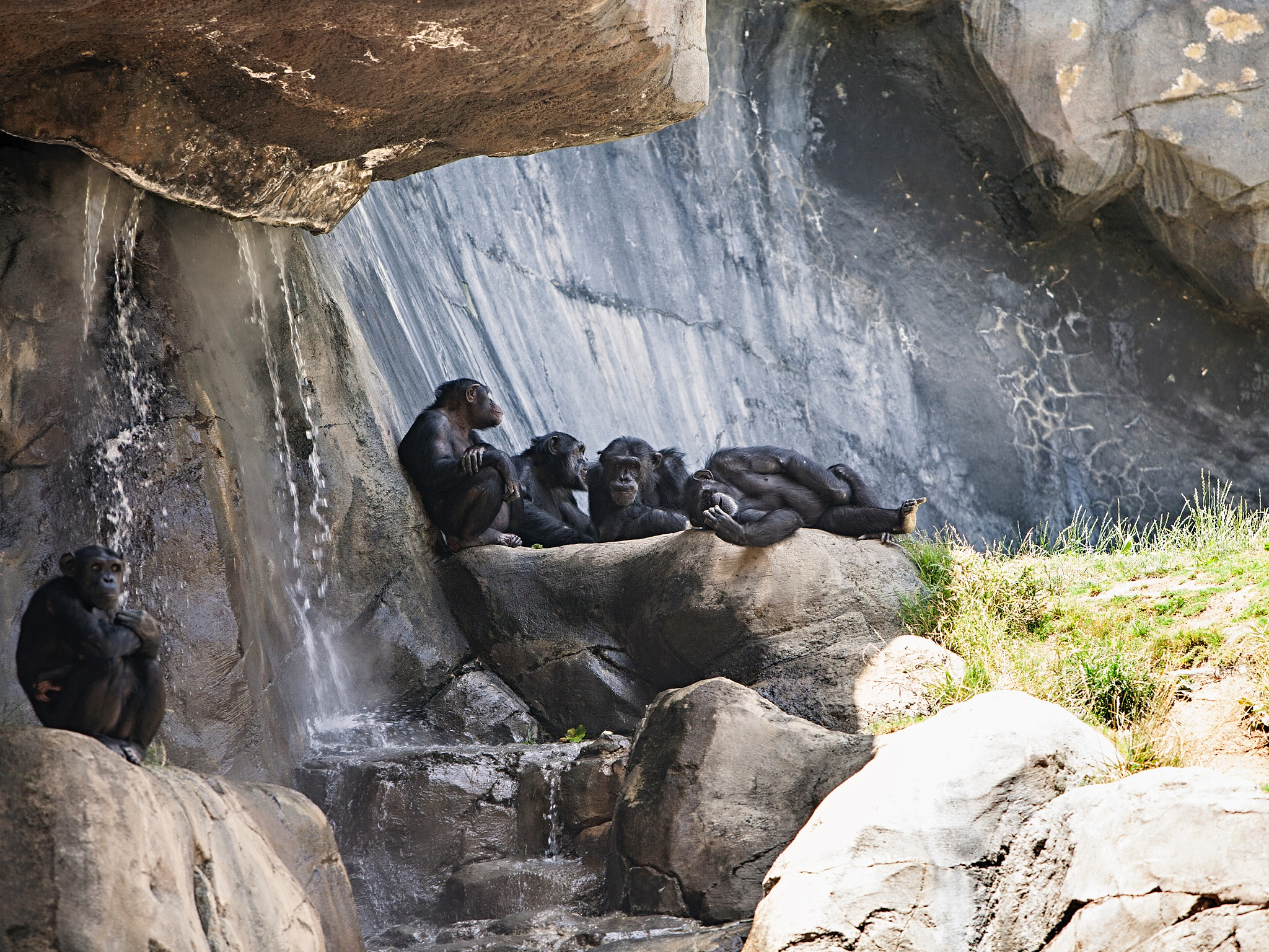 this summer holiday i will go 敦煌