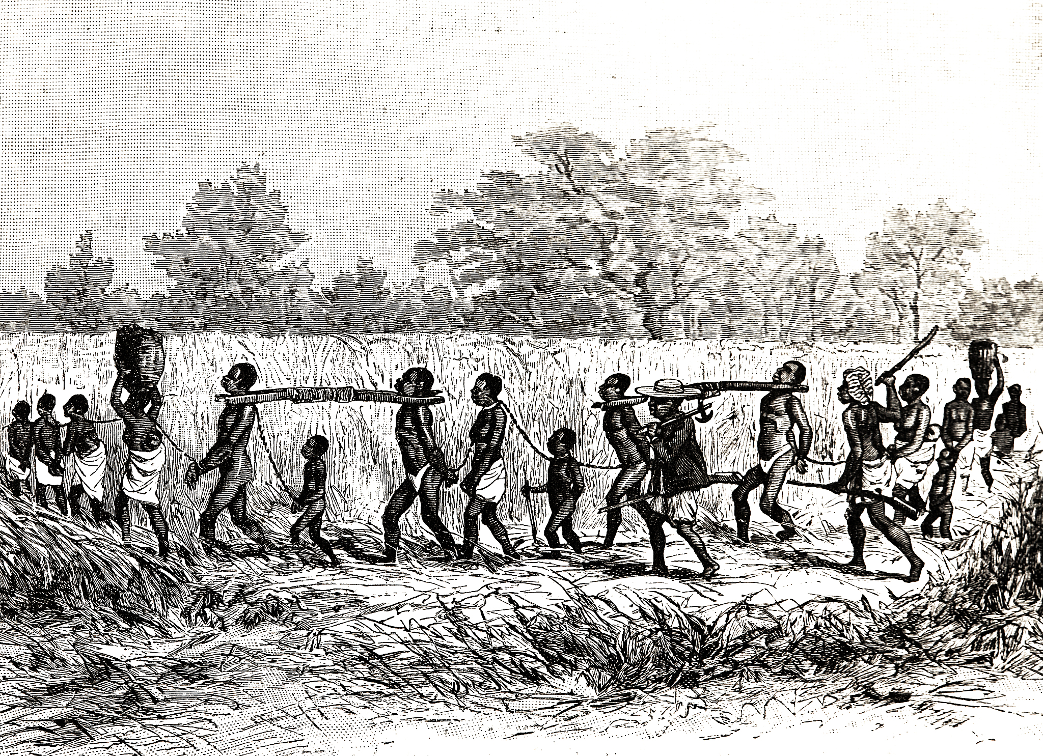 中国古代并非一直是封建社会而是有过多种社会形态包括原始社会、奴隶社会、部落联盟社会、封建社会等。写一篇1500字的文章