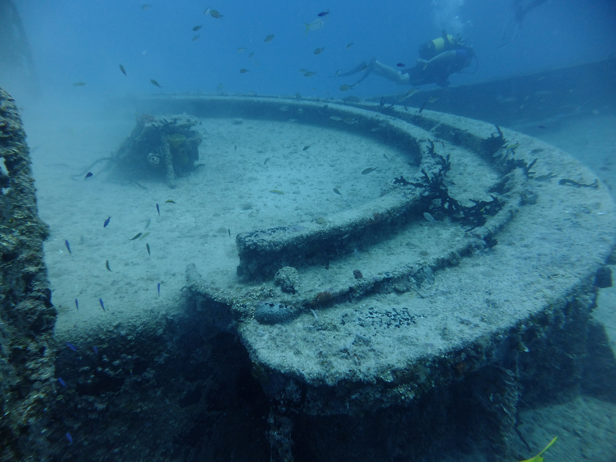 exploring underwater wrecks