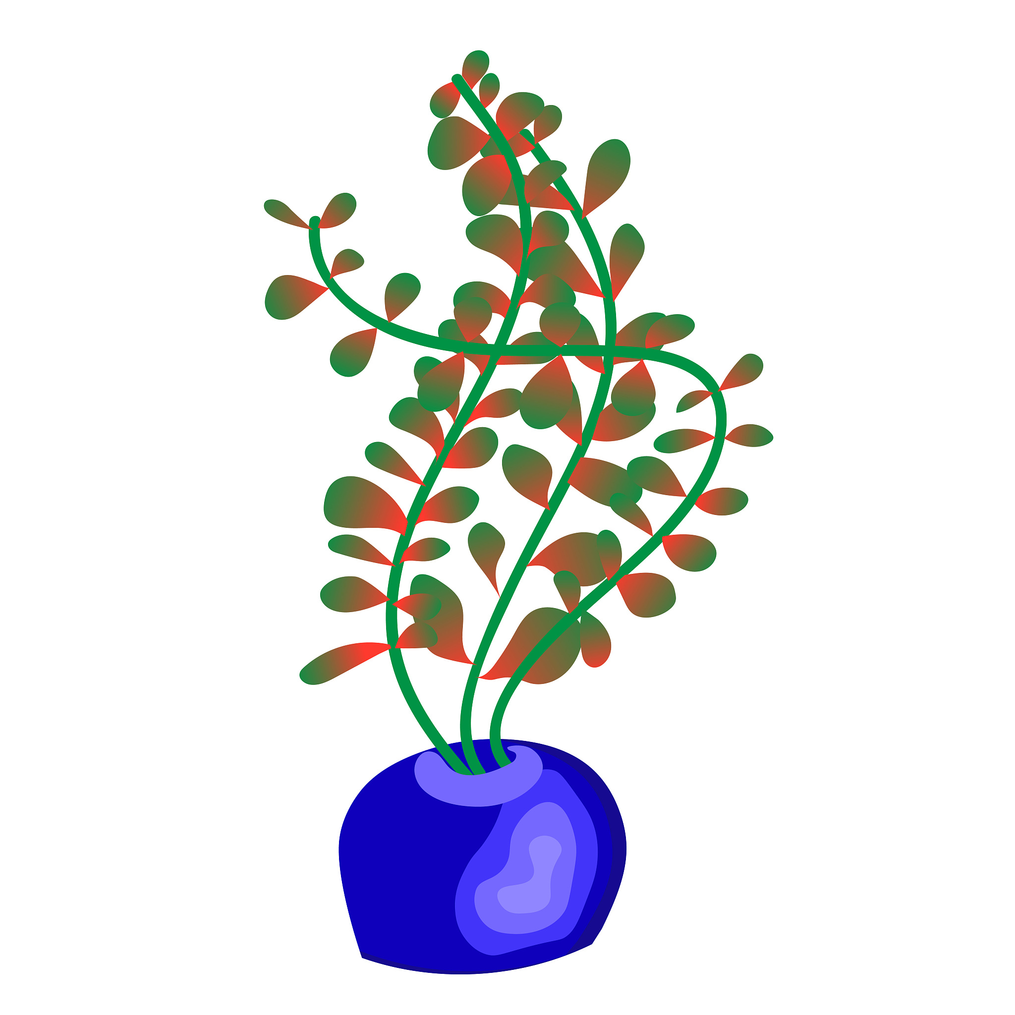 isolate illustration of seaweed, aquarium decoration element