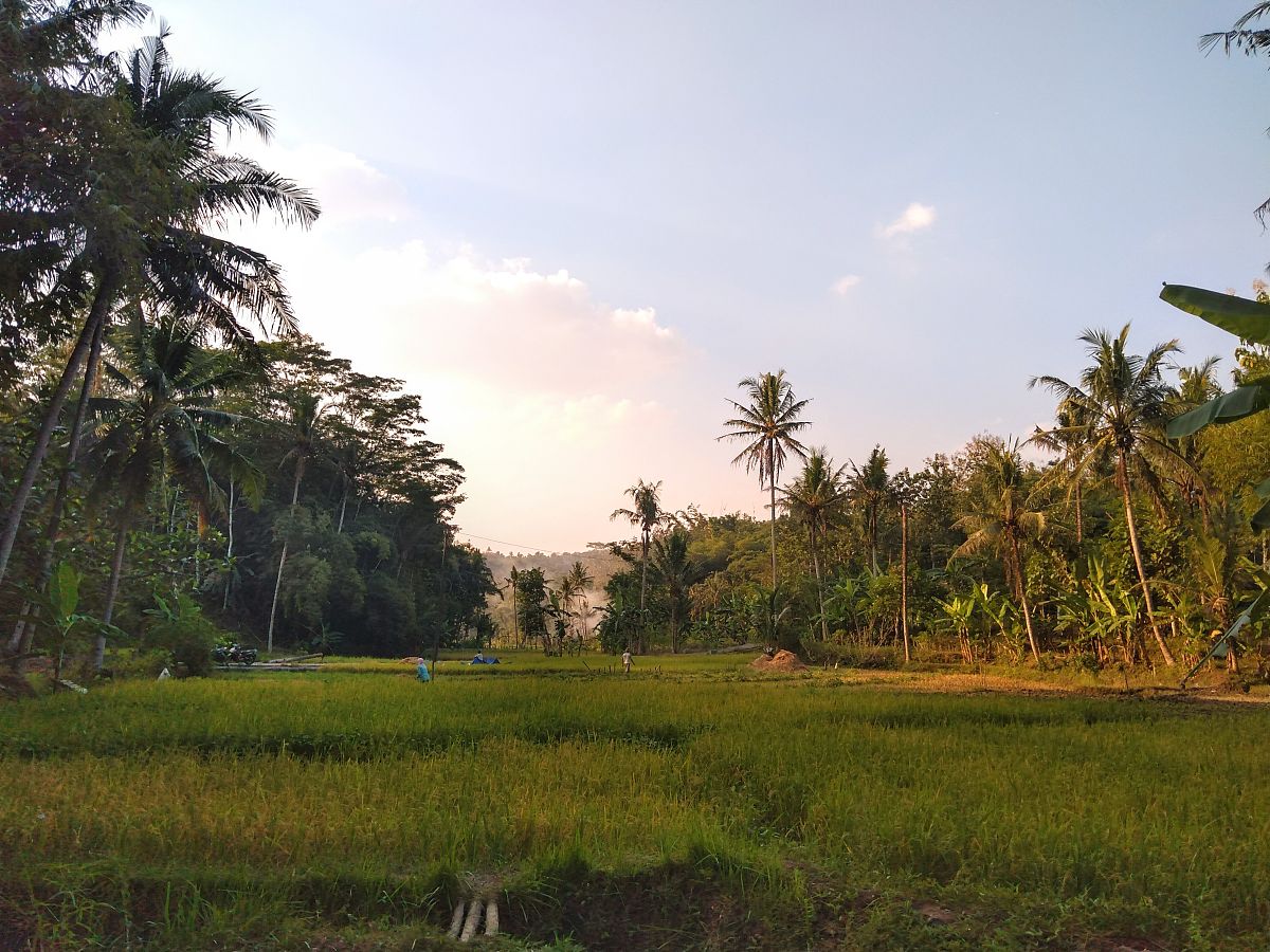 马来西亚马里马里村乡村振兴所依赖的条件