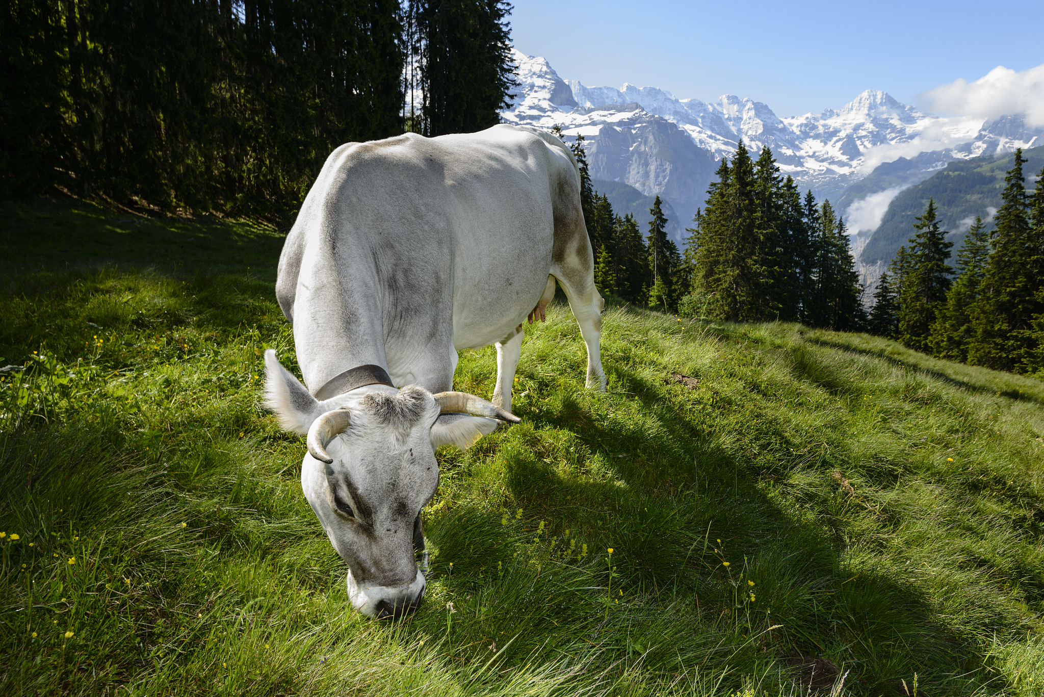 山西同文职业技术学院康复治疗技术专业：培养目标、就业方向及发展趋势