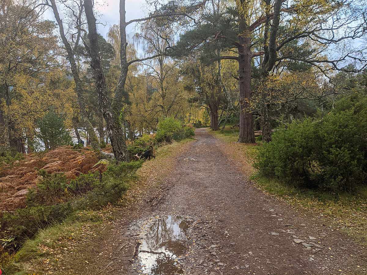长沙林地分等定级依据 - 详解地形、土质、树种等影响因素
