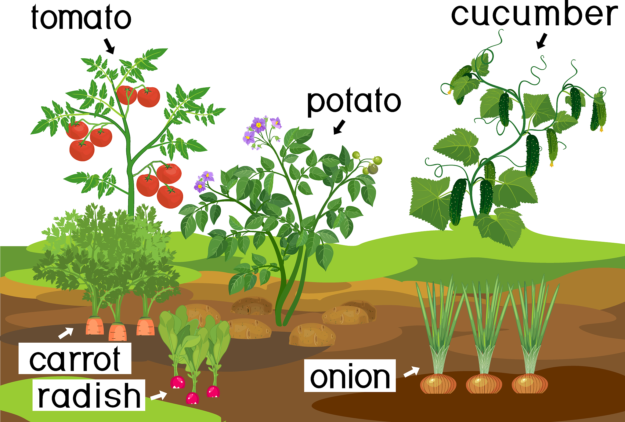 Change in plant density without improving productivity or yield environment negatively impacts yield 按照field crops research的格式润色上面的句子