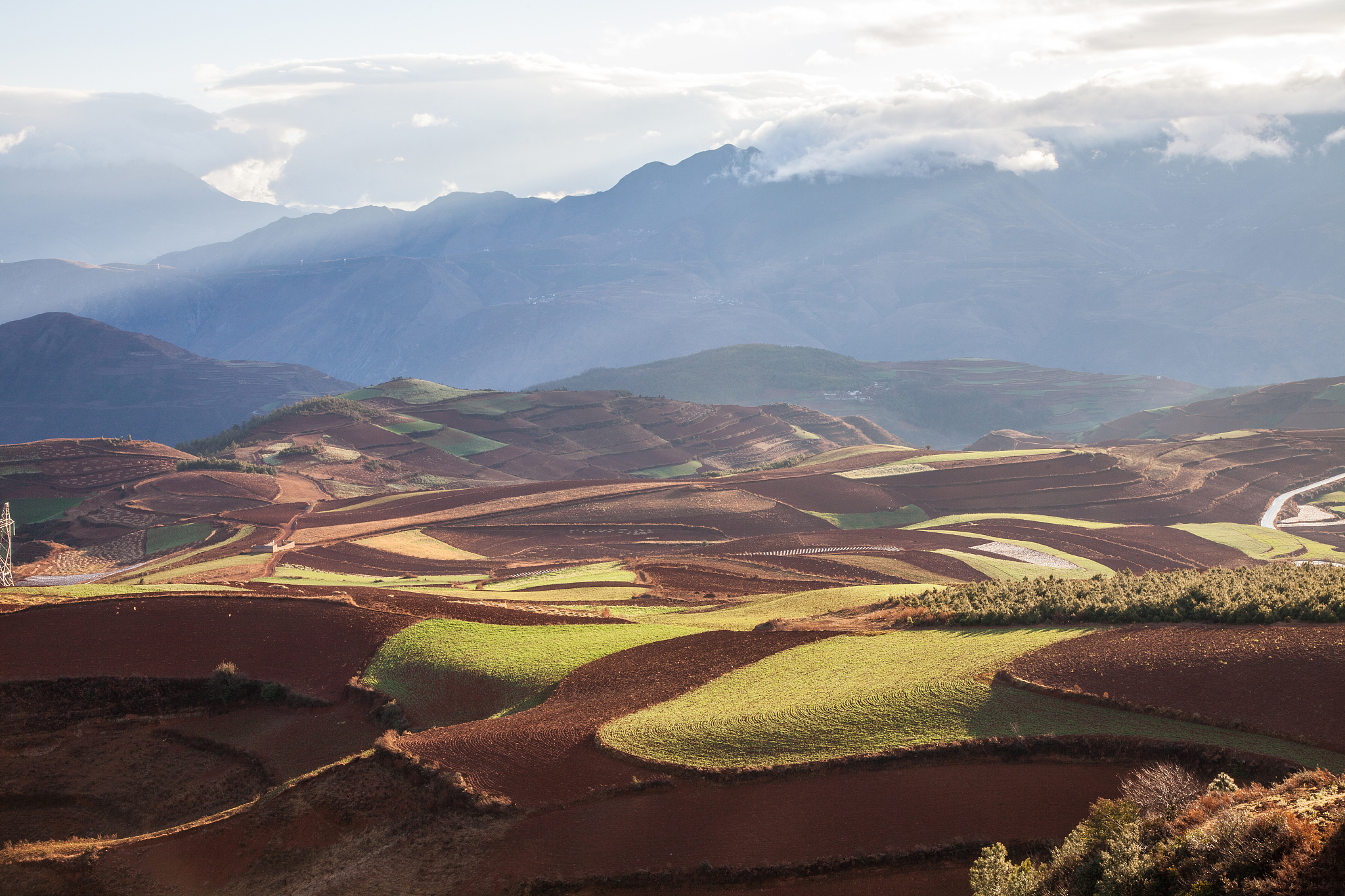 云南2021年招收专科的高校有哪些？