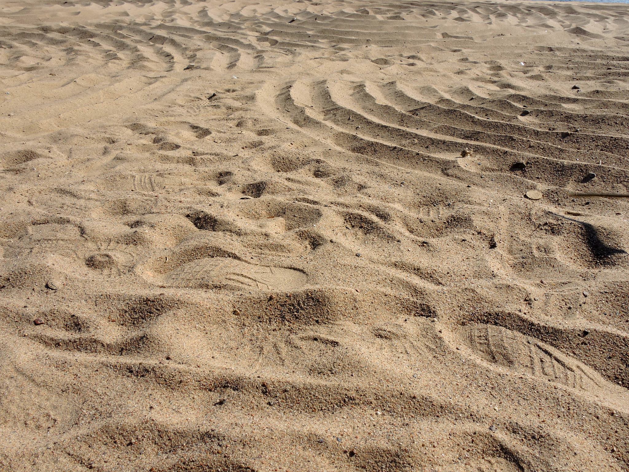 circles in the sand on the beach