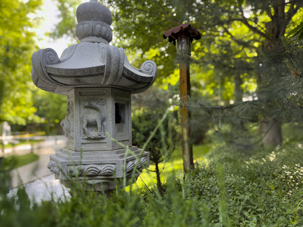 请描写一下一座神社里面有主殿两三个偏殿后院石碑石灯笼参天古树的样子