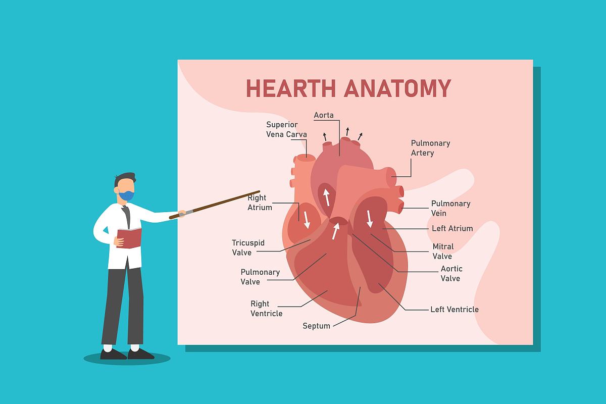 石家庄同济医学中等专业学校口腔修复工艺专业学什么内容？