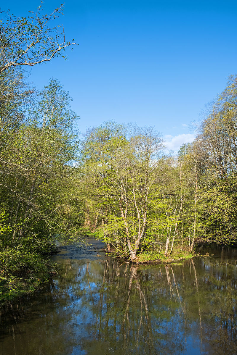 帮我写一首诗关于校园春日美景的万物复苏霞光熹微人们来来往往不要过度发挥